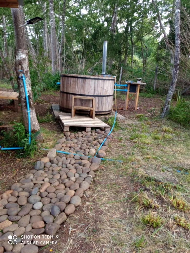 Cabaña en el bosque