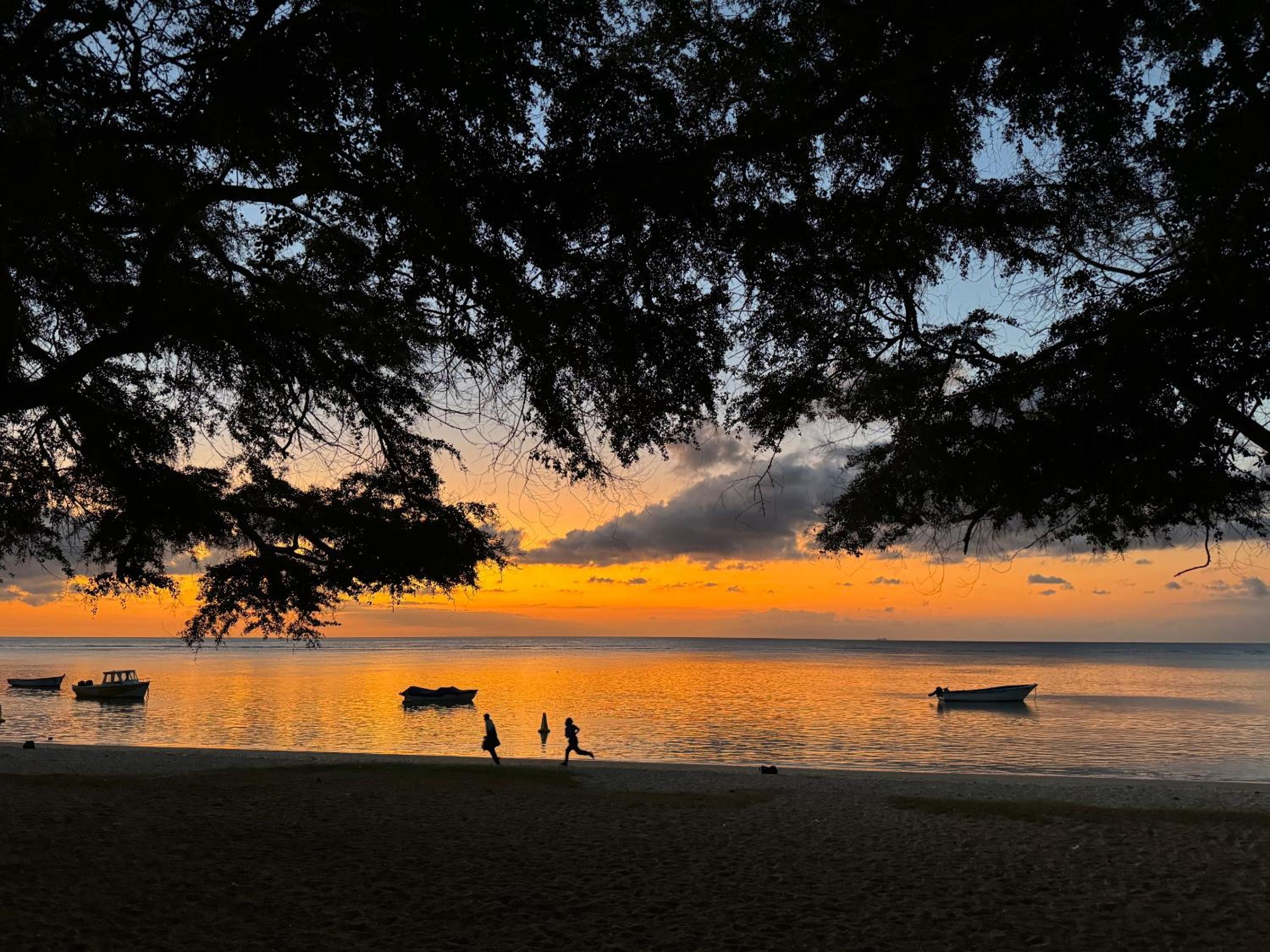 Wild Pearl, Albion Mauritius view 5