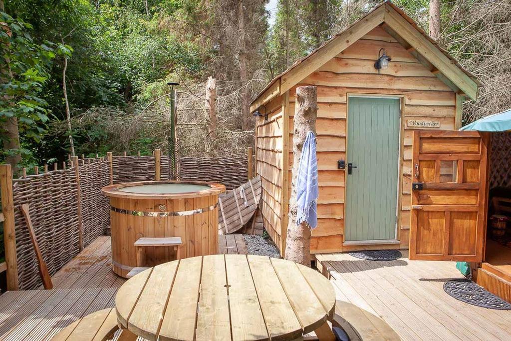 Hayne Barn Estate 6 Luxury Lodges with private hot-tubs AND 1 studio without hot-tub, photo 81