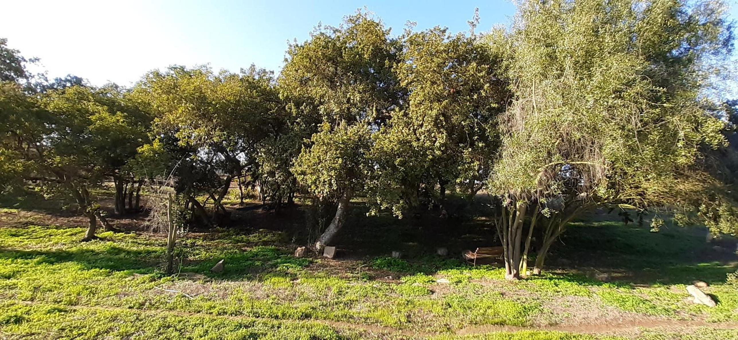 MoradadelValle