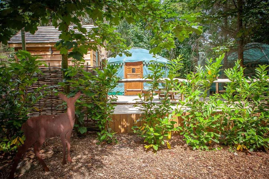 Hayne Barn Estate 6 Luxury Lodges with private hot-tubs AND 1 studio without hot-tub, photo 75