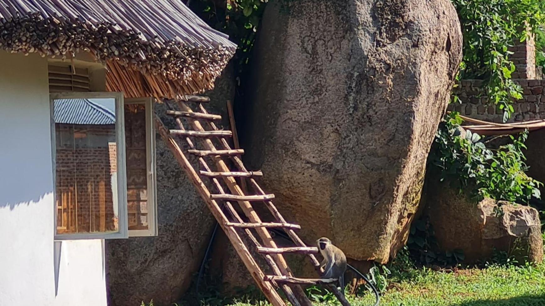 Nyero Guesthouses
