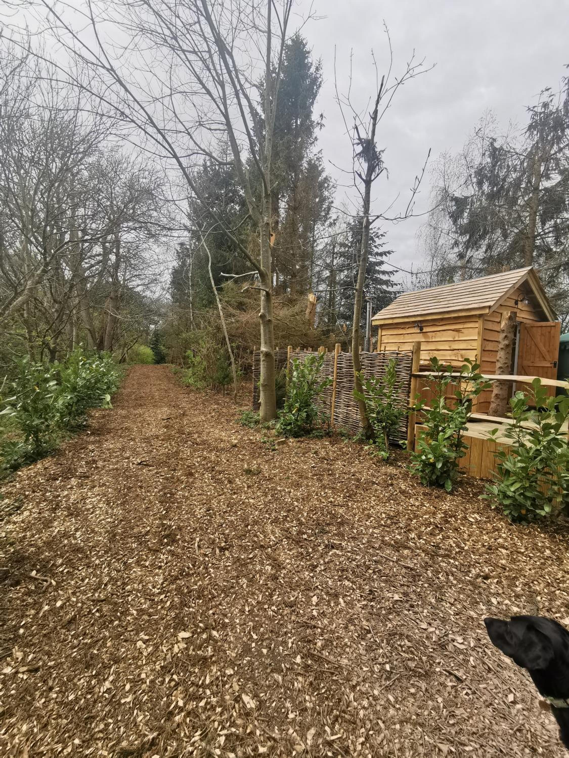 Hayne Barn Estate 6 Luxury Lodges with private hot-tubs AND 1 studio without hot-tub, photo 28