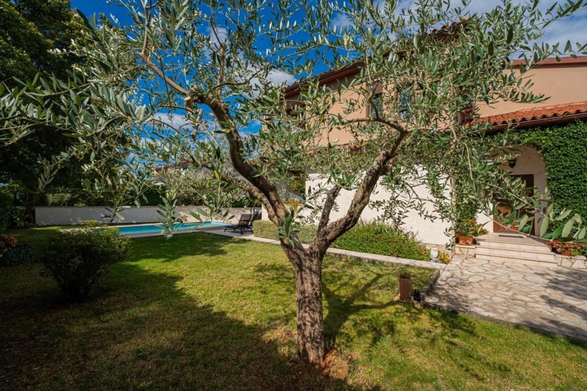 Hotel Villa Tina in Pinezići (Haus für 10 Personen) - Image 1