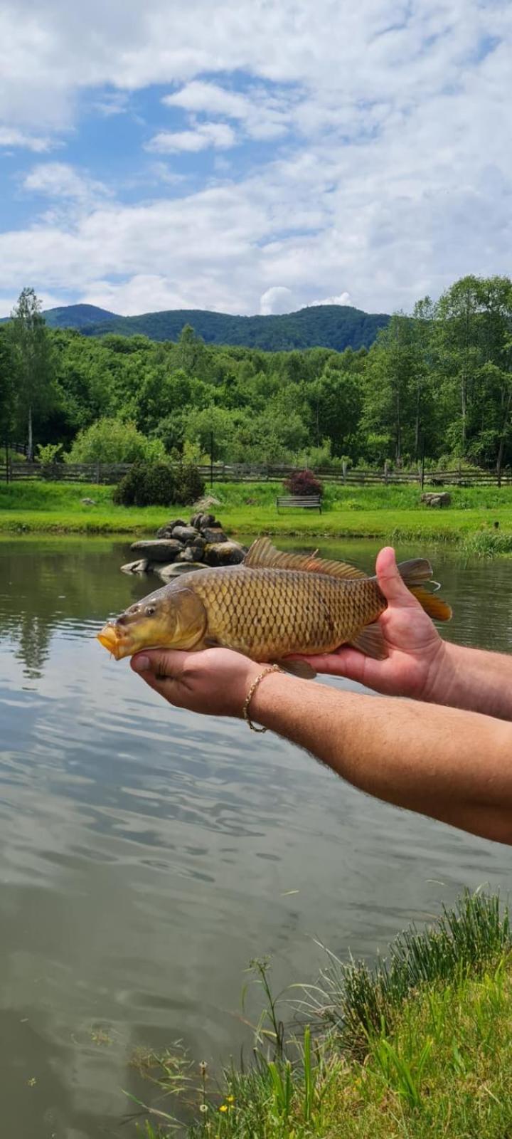 Valea Salbatica