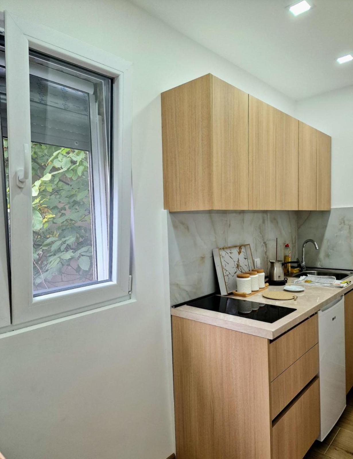 Apartman Vesna