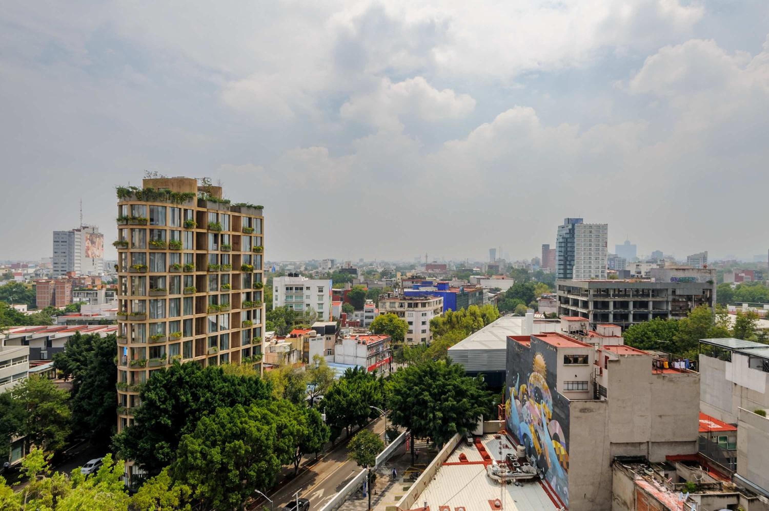 Icon Roma by Wynwood House — Mexico City