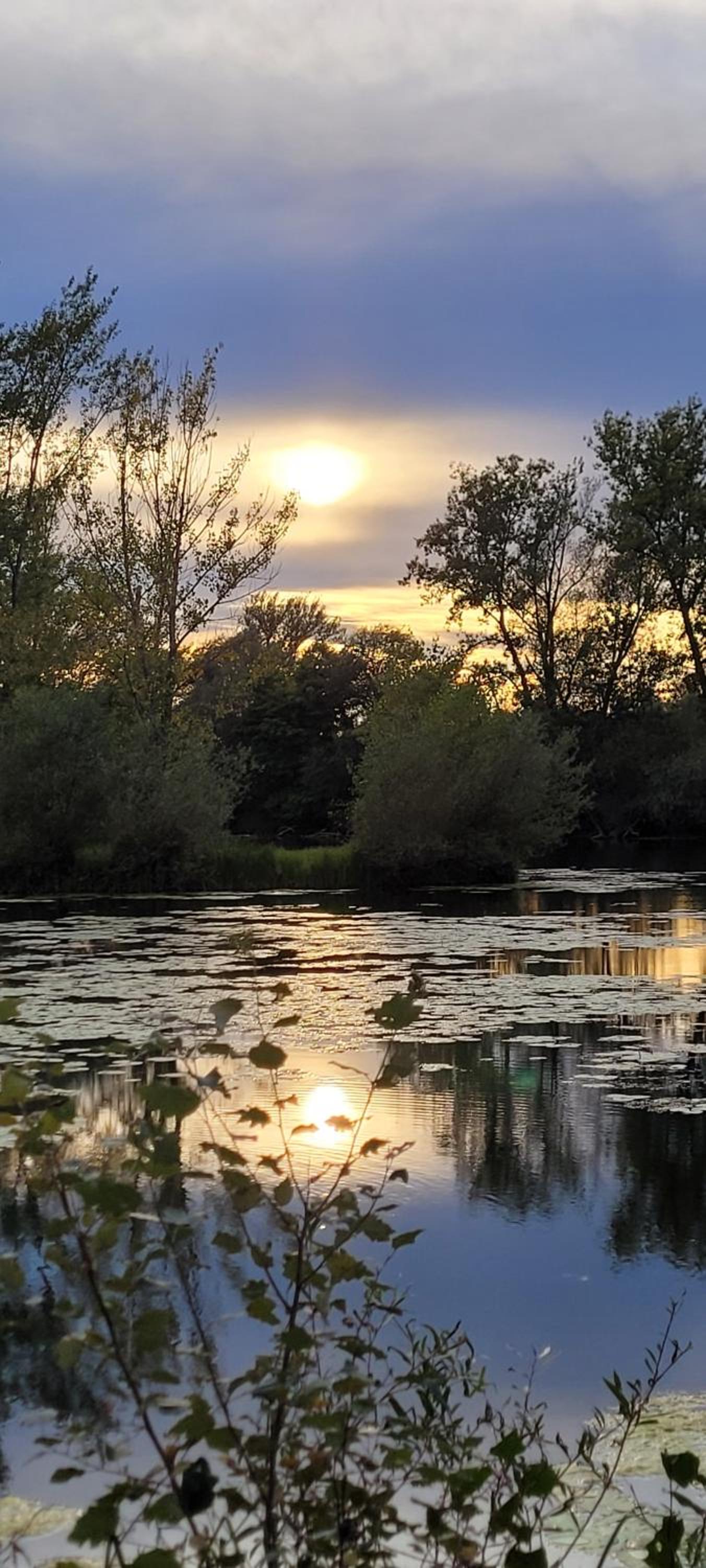 Domek Manipura-ogród,spokój,natura