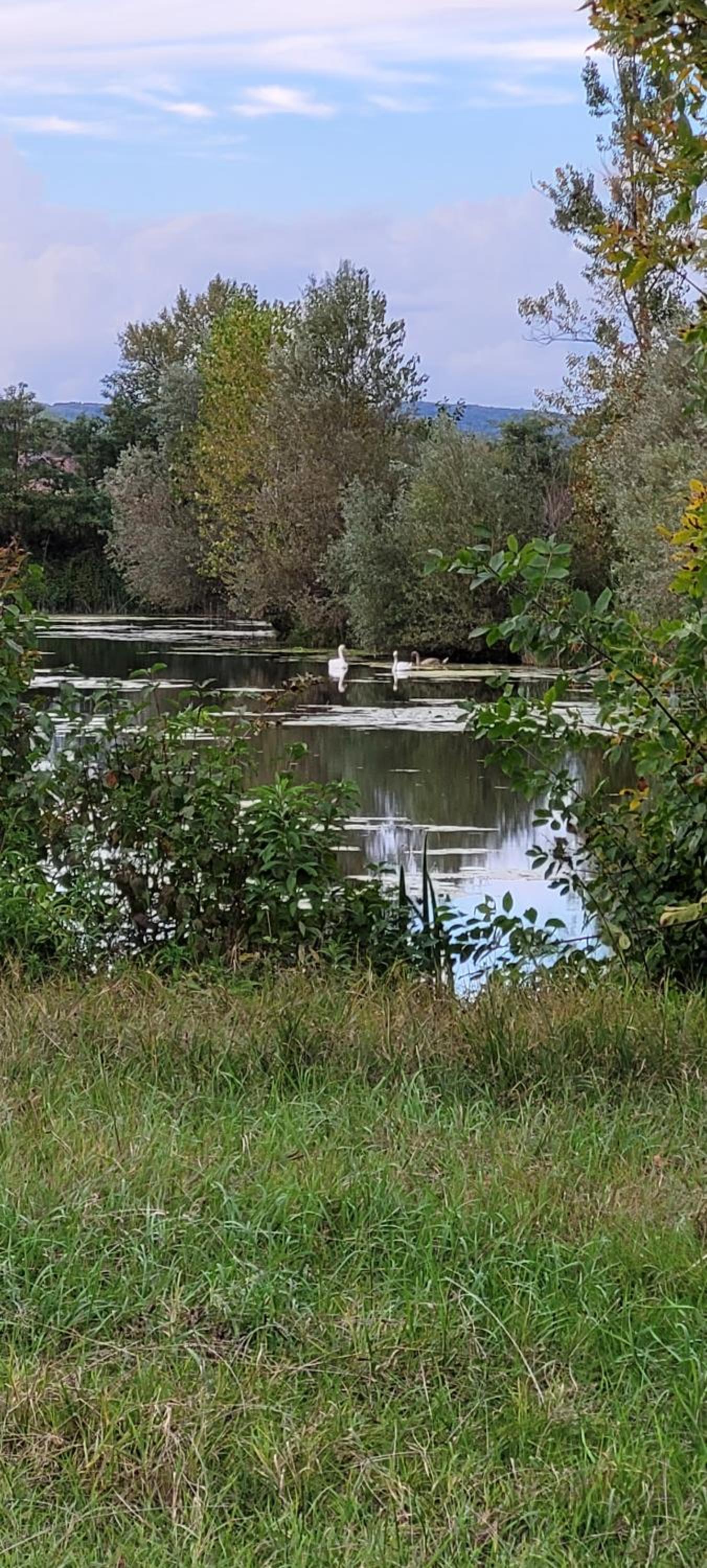 Domek Manipura-ogród,spokój,natura