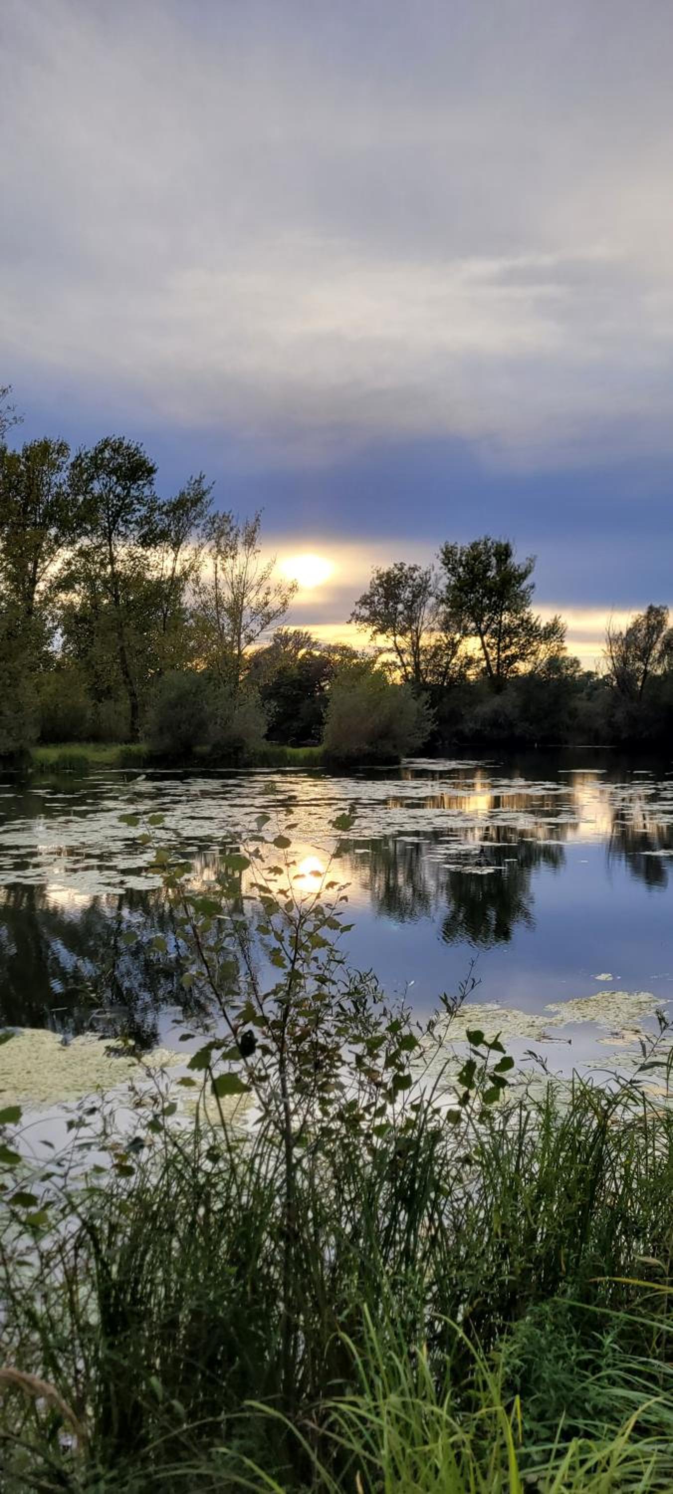 Domek Manipura-ogród,spokój,natura