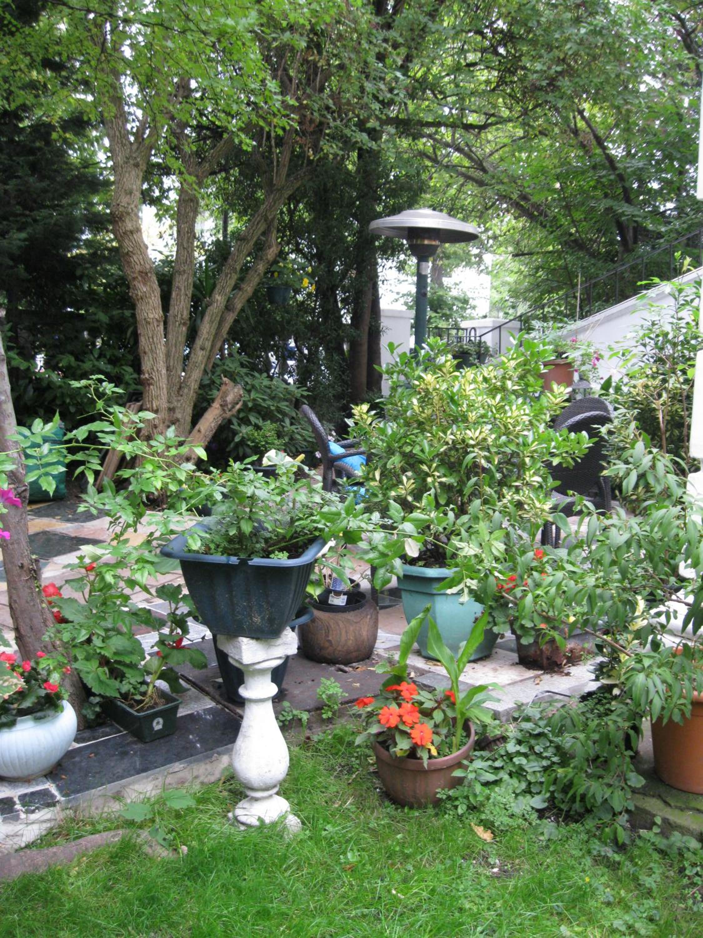 garden