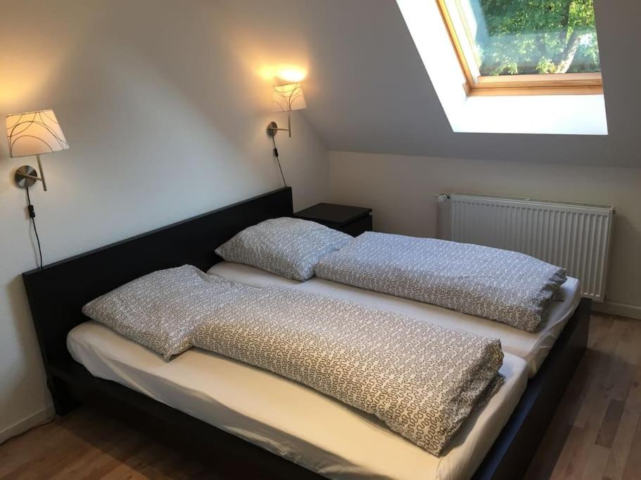Harzidyll Living Apartment 3 ZKB 71 qm