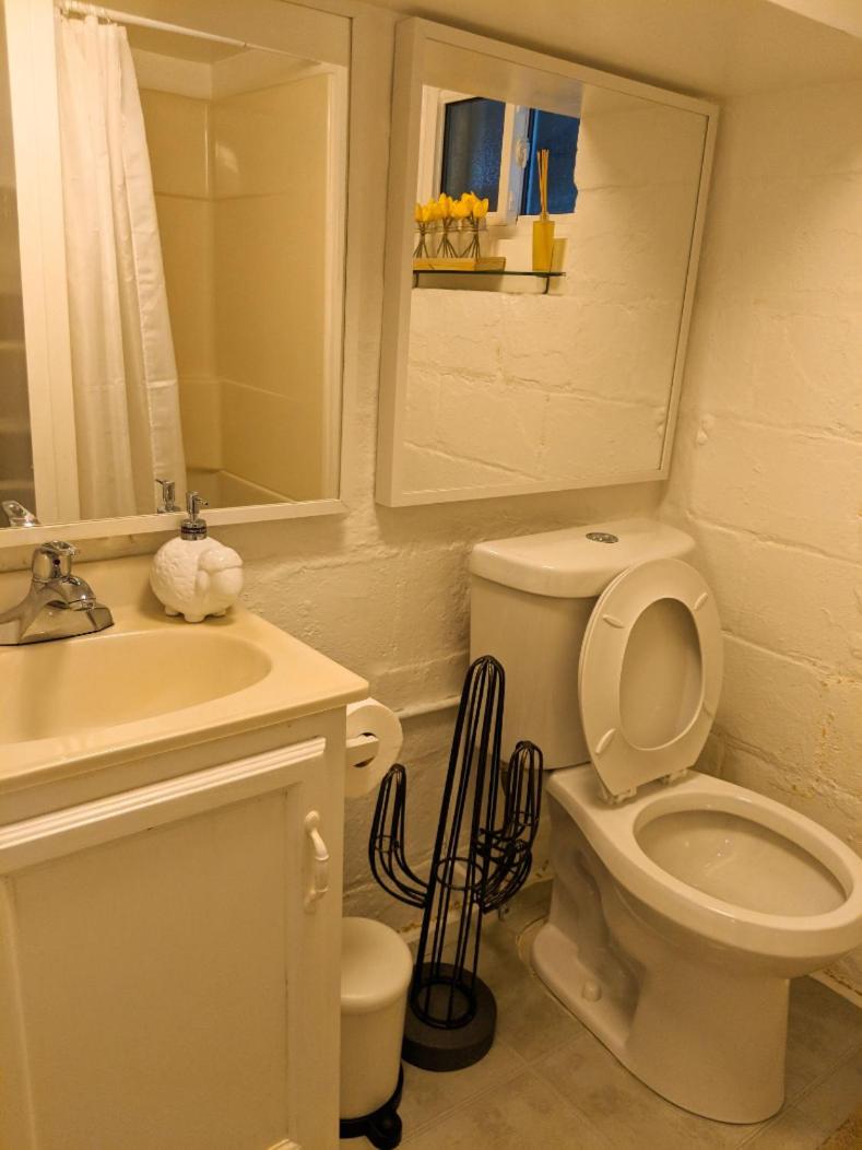 Toronto Vacations - Charming Basement Suite with Private Entrance Near Subway, Koreatown  UofT - Property Image 6