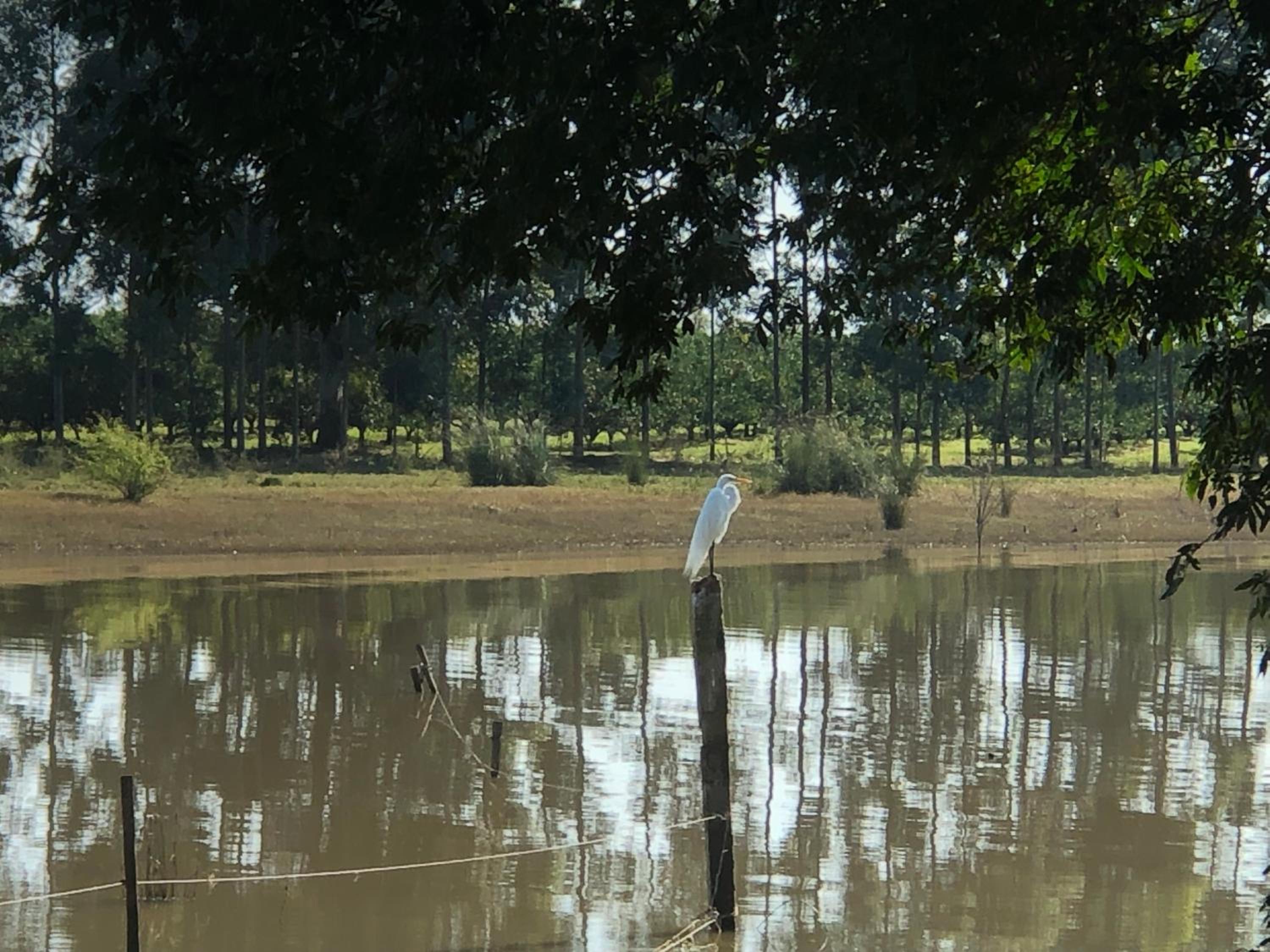 Mbaguarí, Refugio de río
