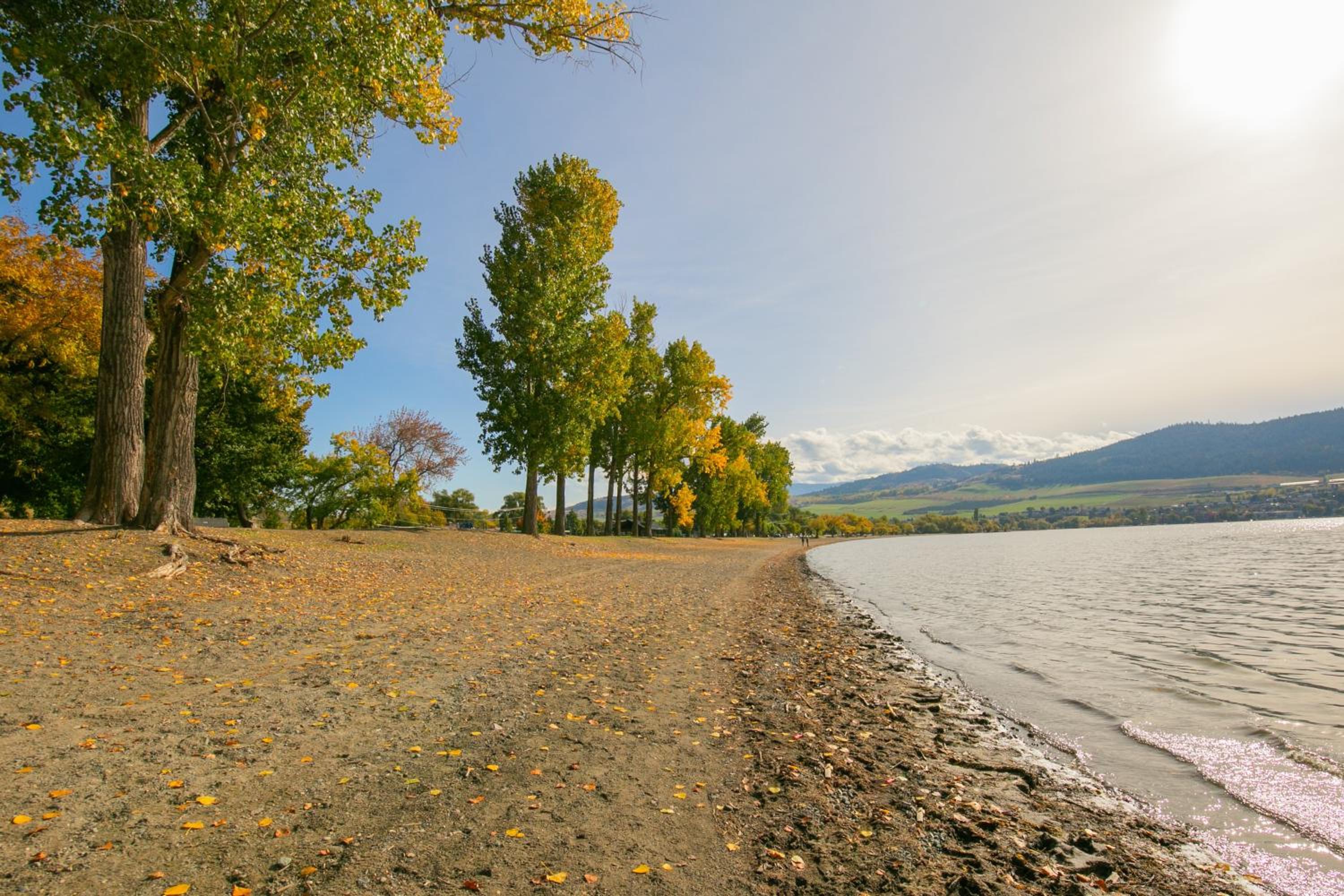 Vernon Vacations - Holiday Inn Express Hotel  Suites Vernon, an IHG Hotel - Property Image 27