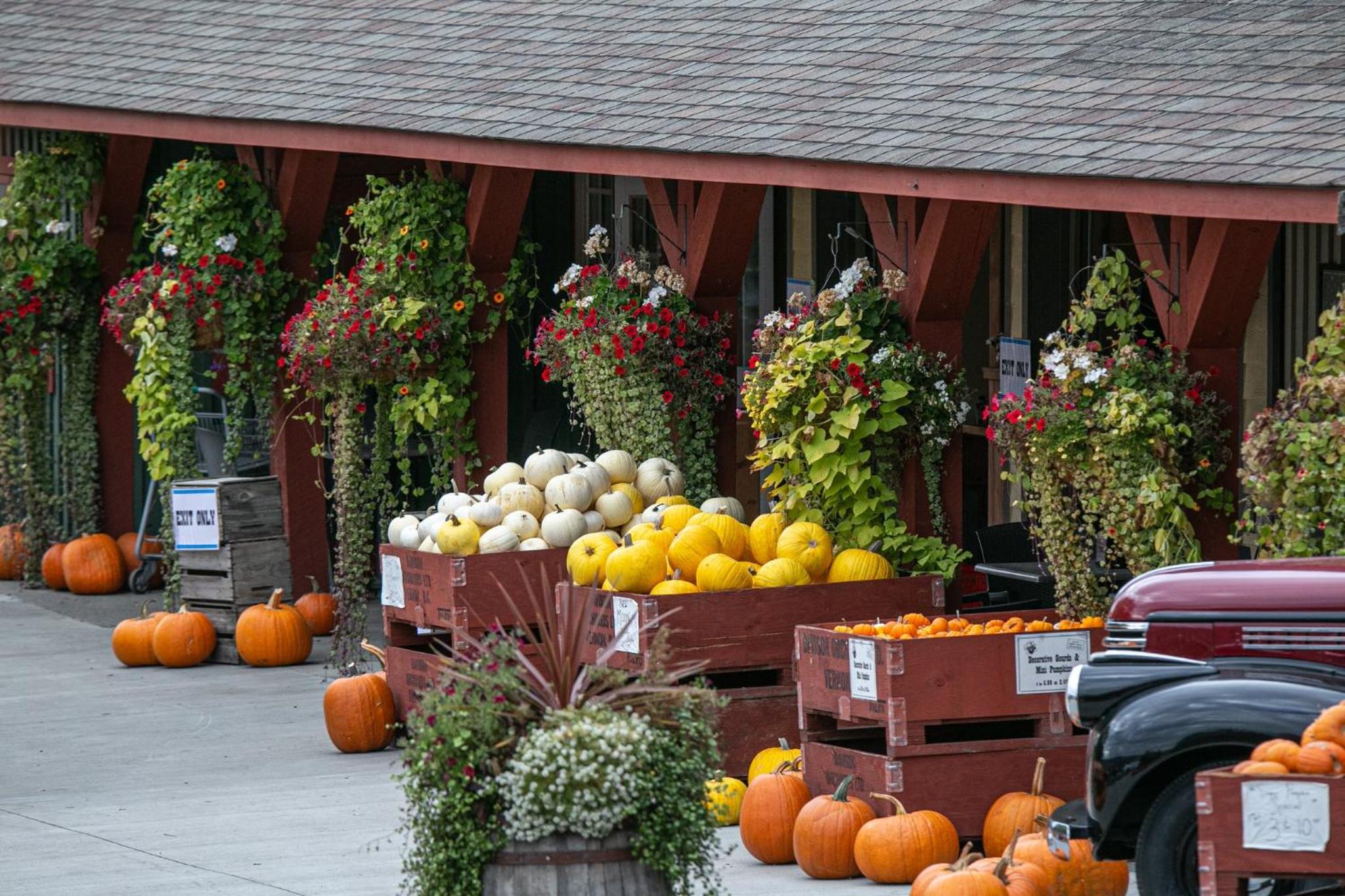 Vernon Vacations - Holiday Inn Express Hotel  Suites Vernon, an IHG Hotel - Property Image 25