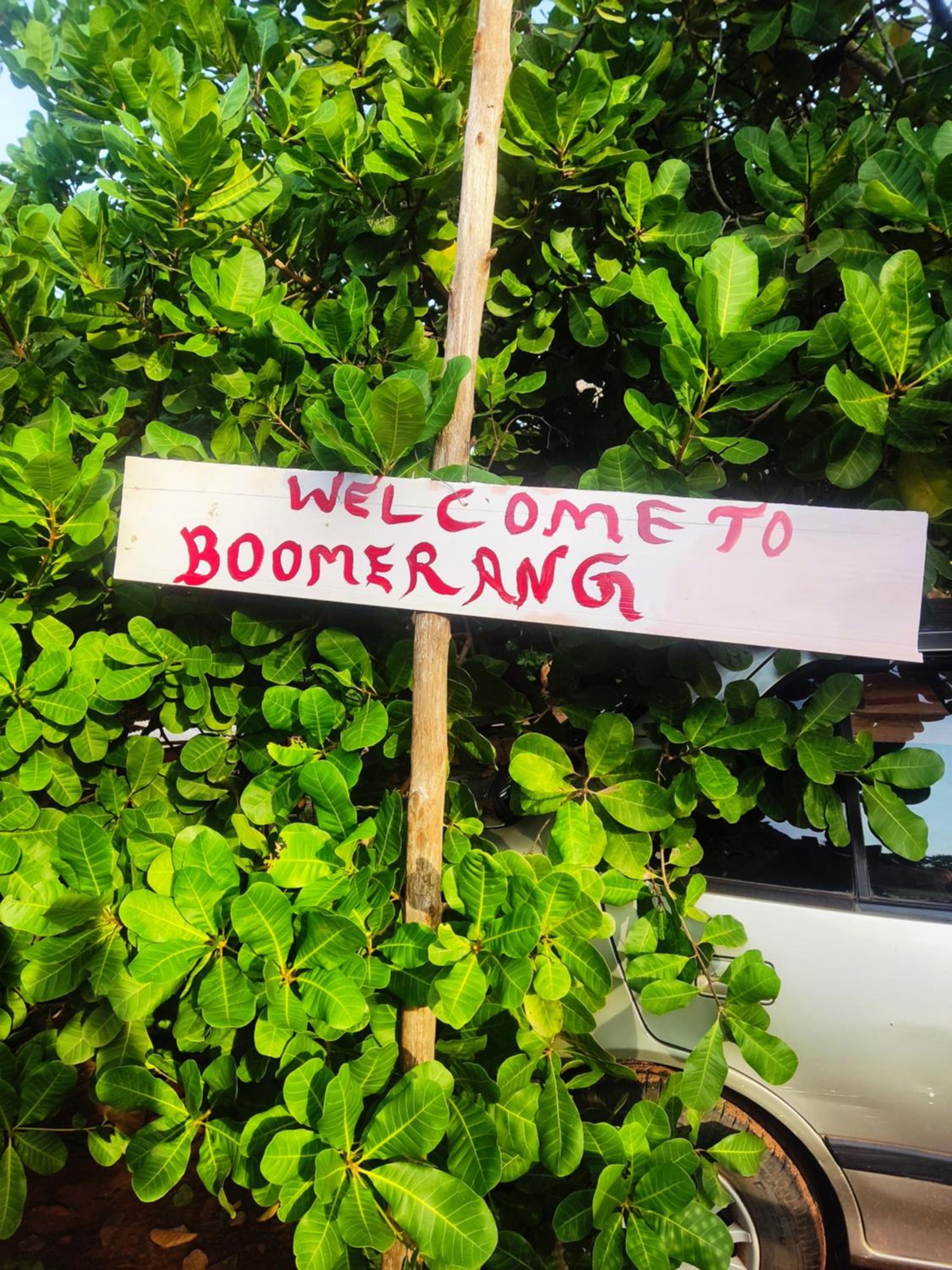 Boomerang community