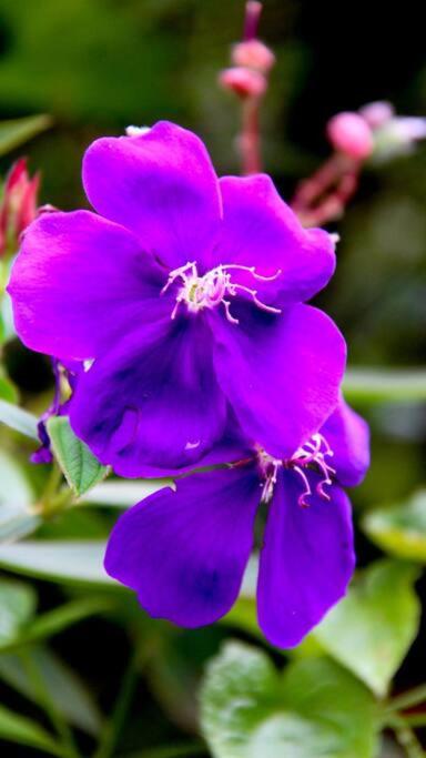 Morada La Gloria