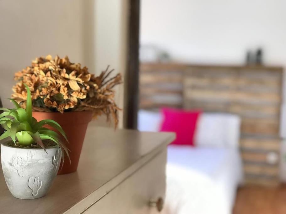 Nice Country House VILLA PAZ