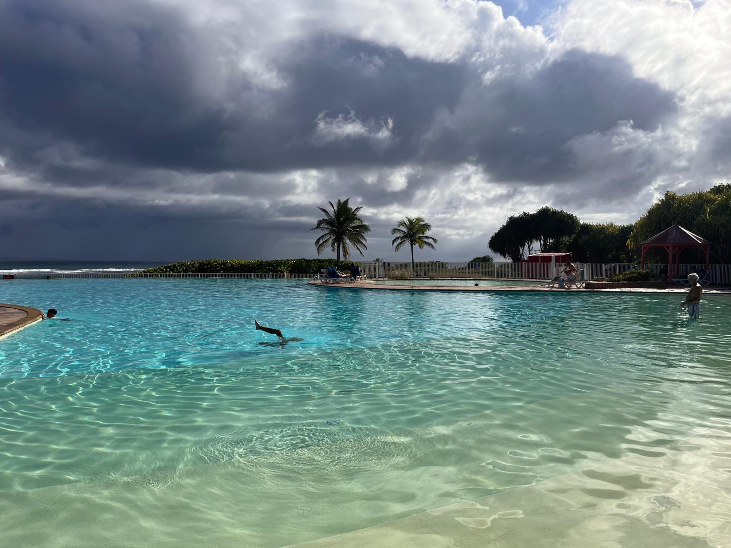Frangipanier mer et piscine view 2