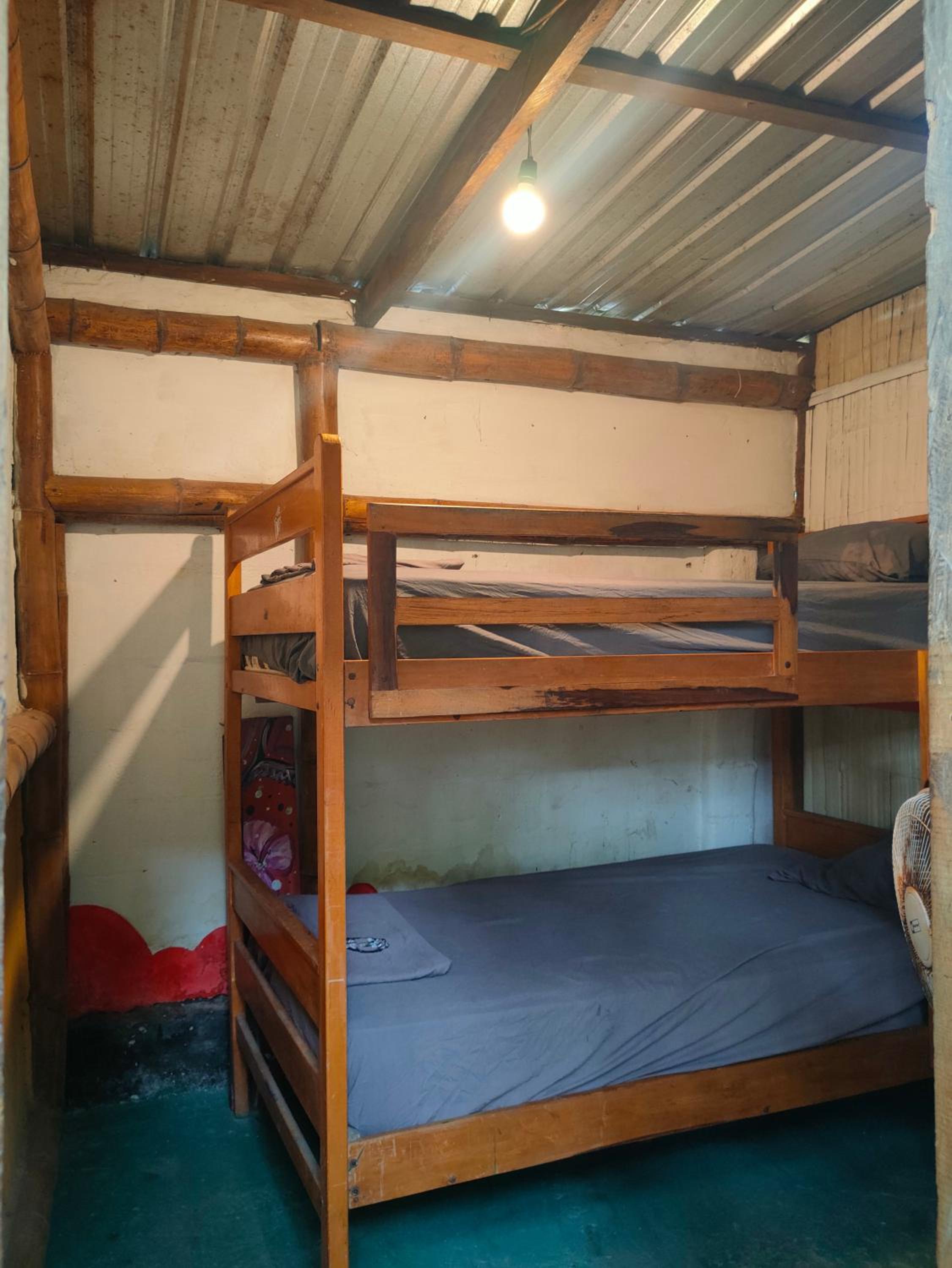 Al Carajo House Backpackers Host