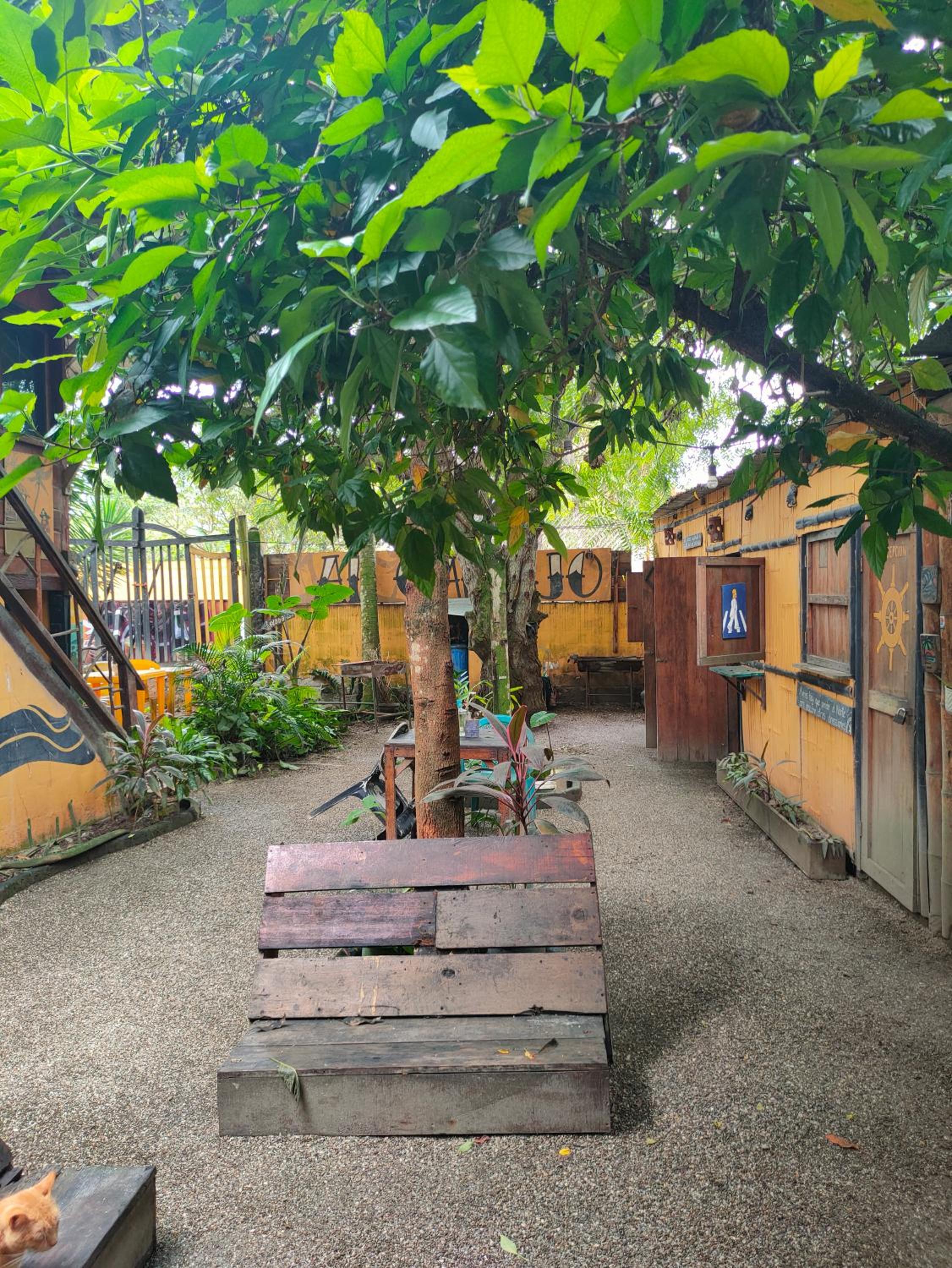 Al Carajo House Backpackers Host