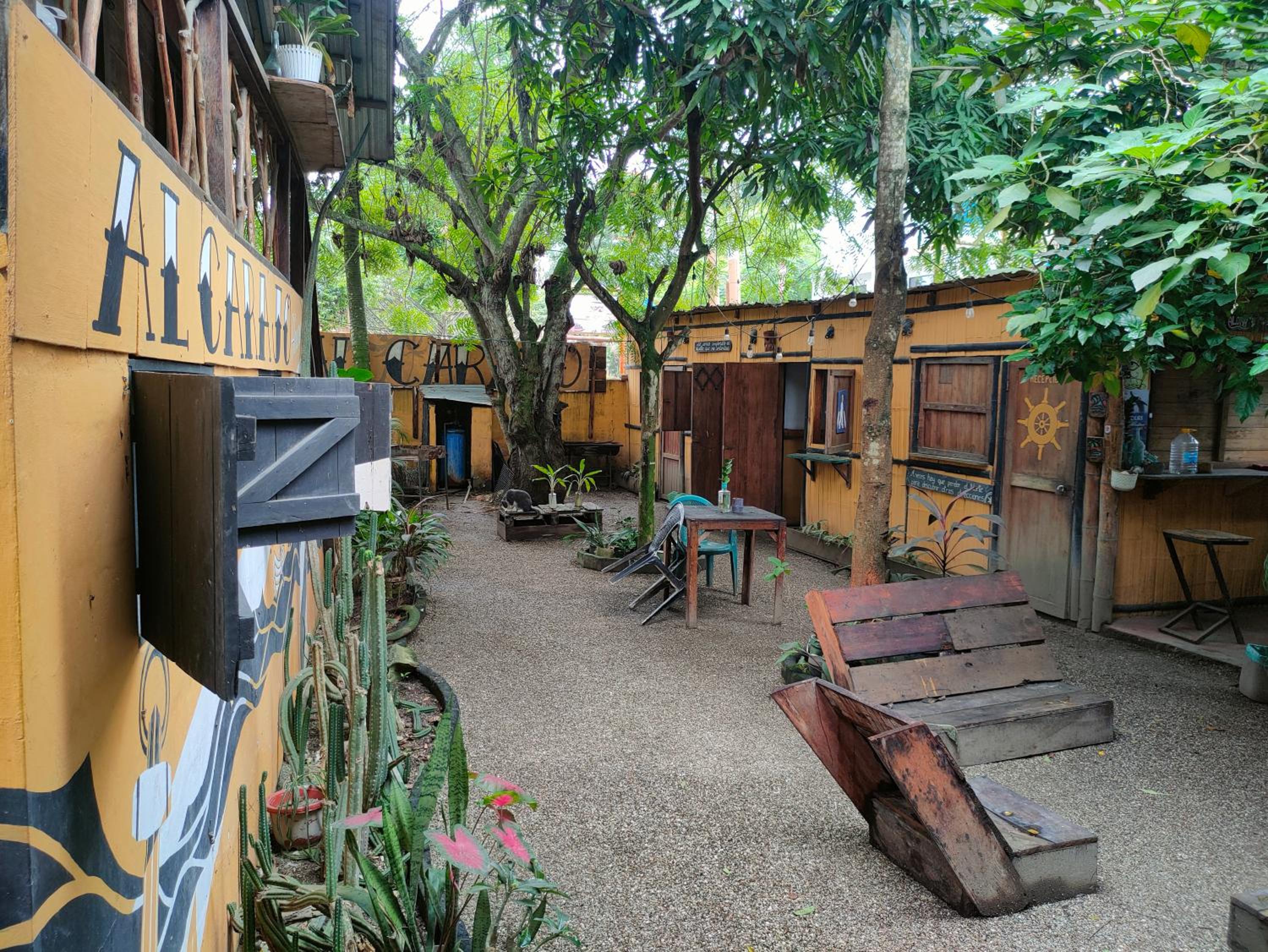 Al Carajo House Backpackers Host