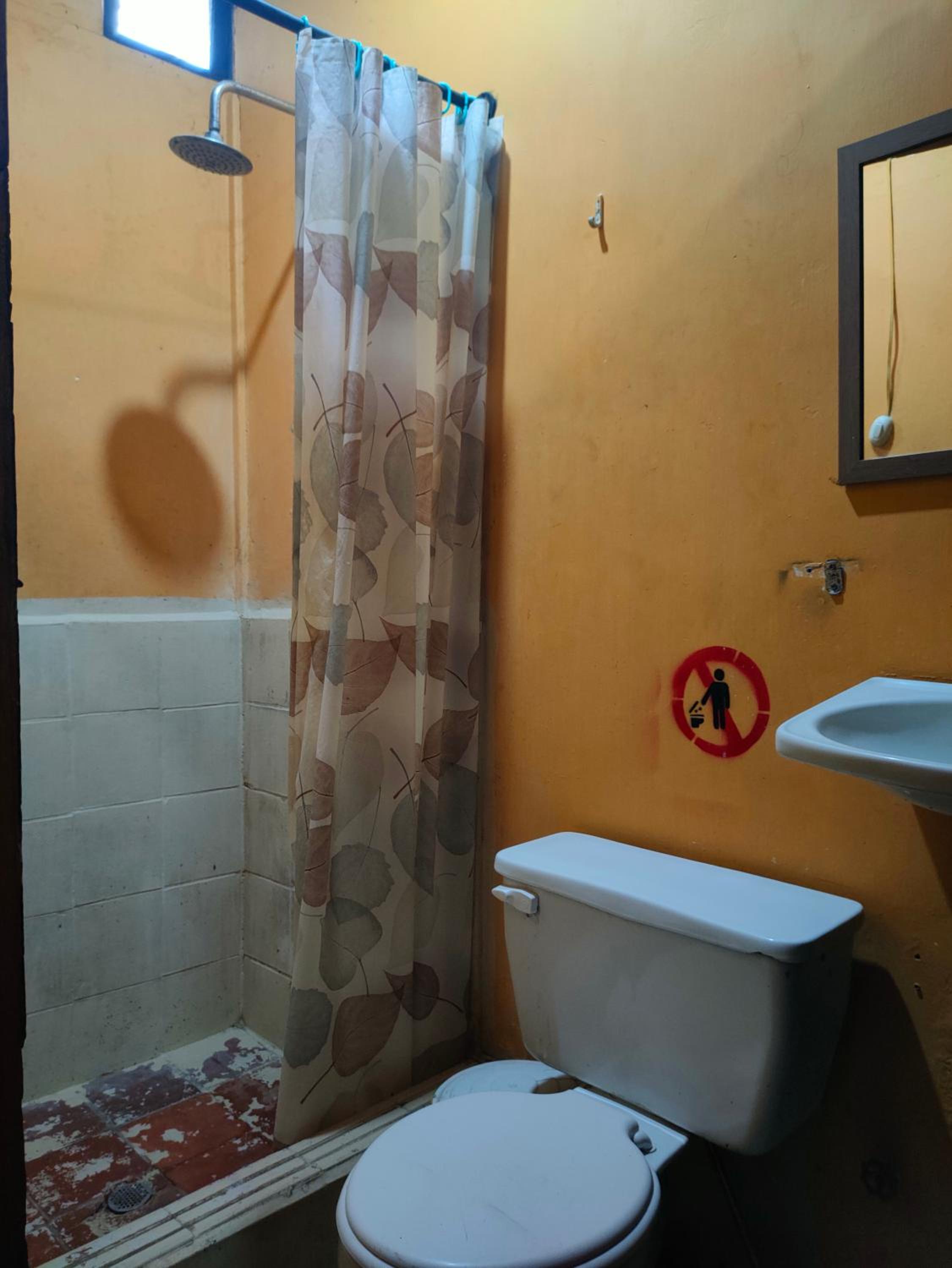 Al Carajo House Backpackers Host