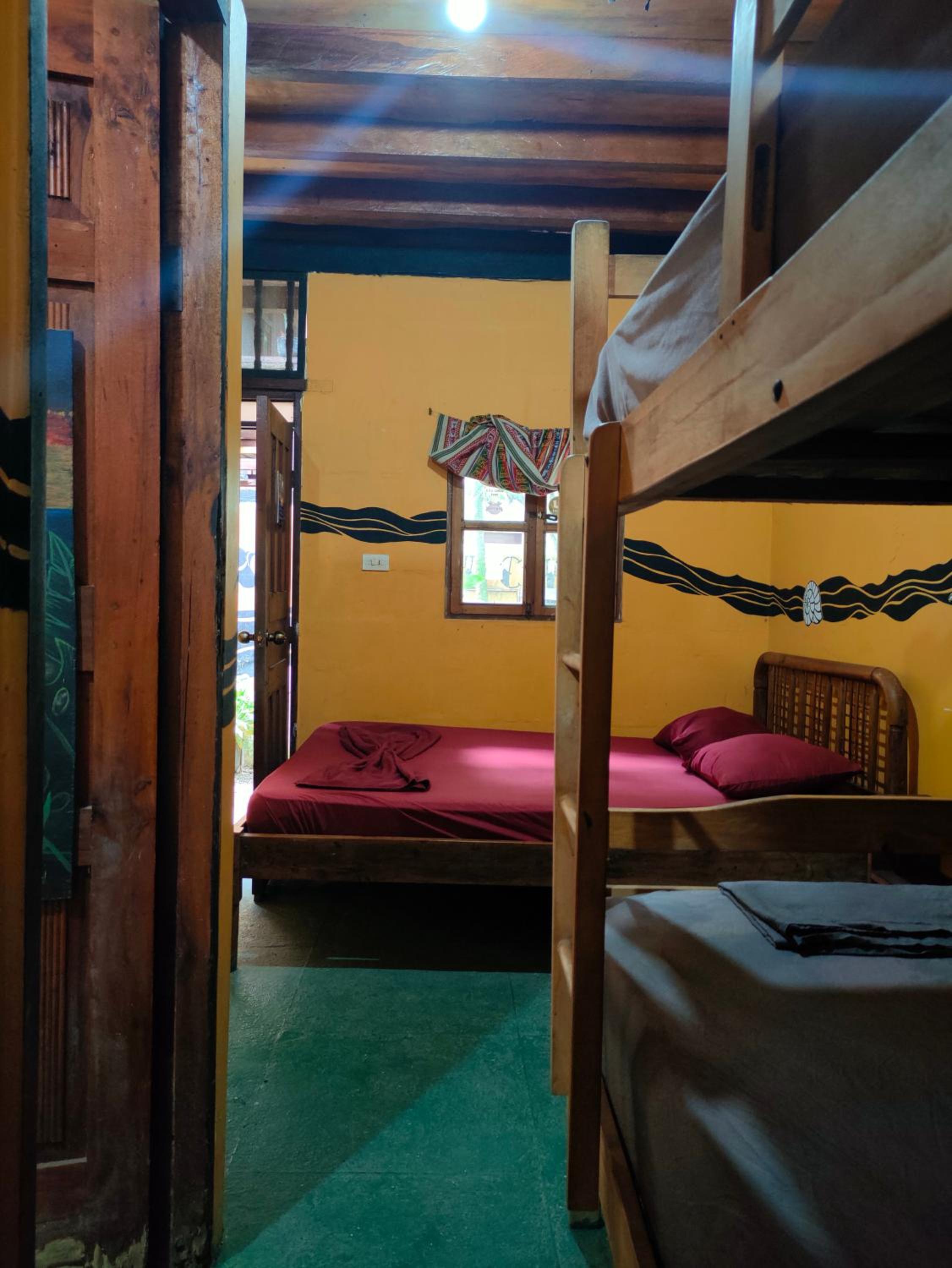 Al Carajo House Backpackers Host