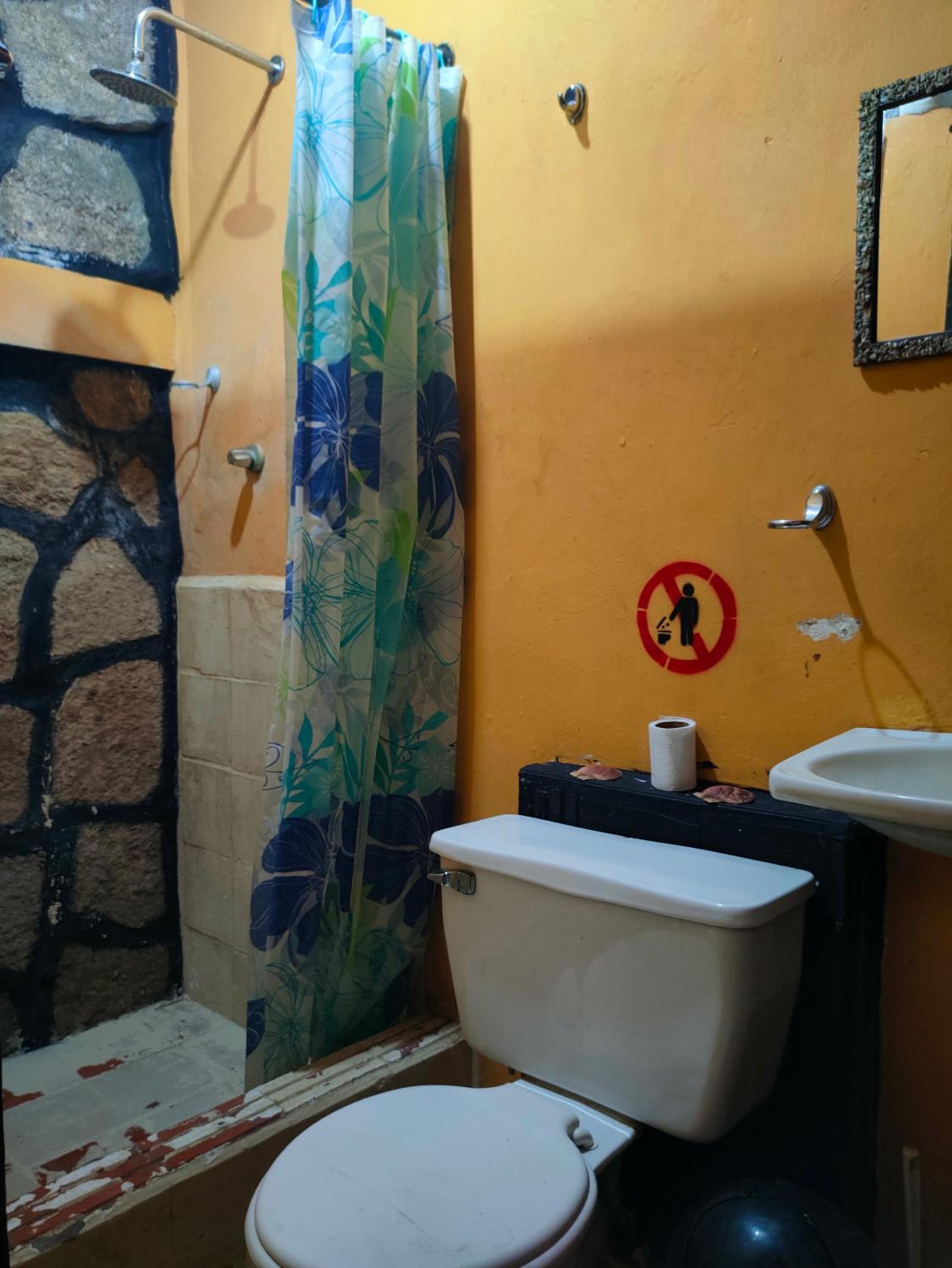 Al Carajo House Backpackers Host