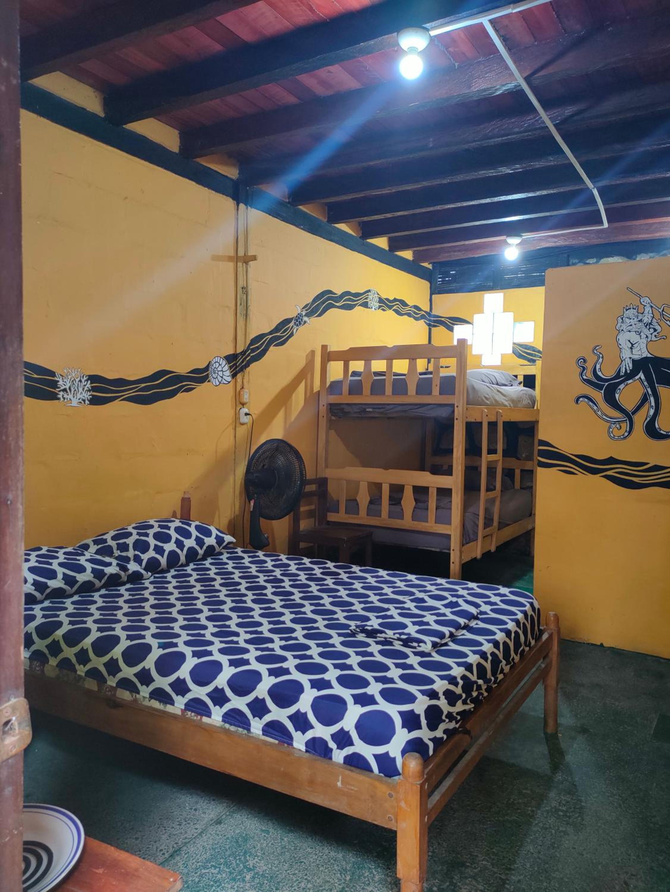 Al Carajo House Backpackers Host