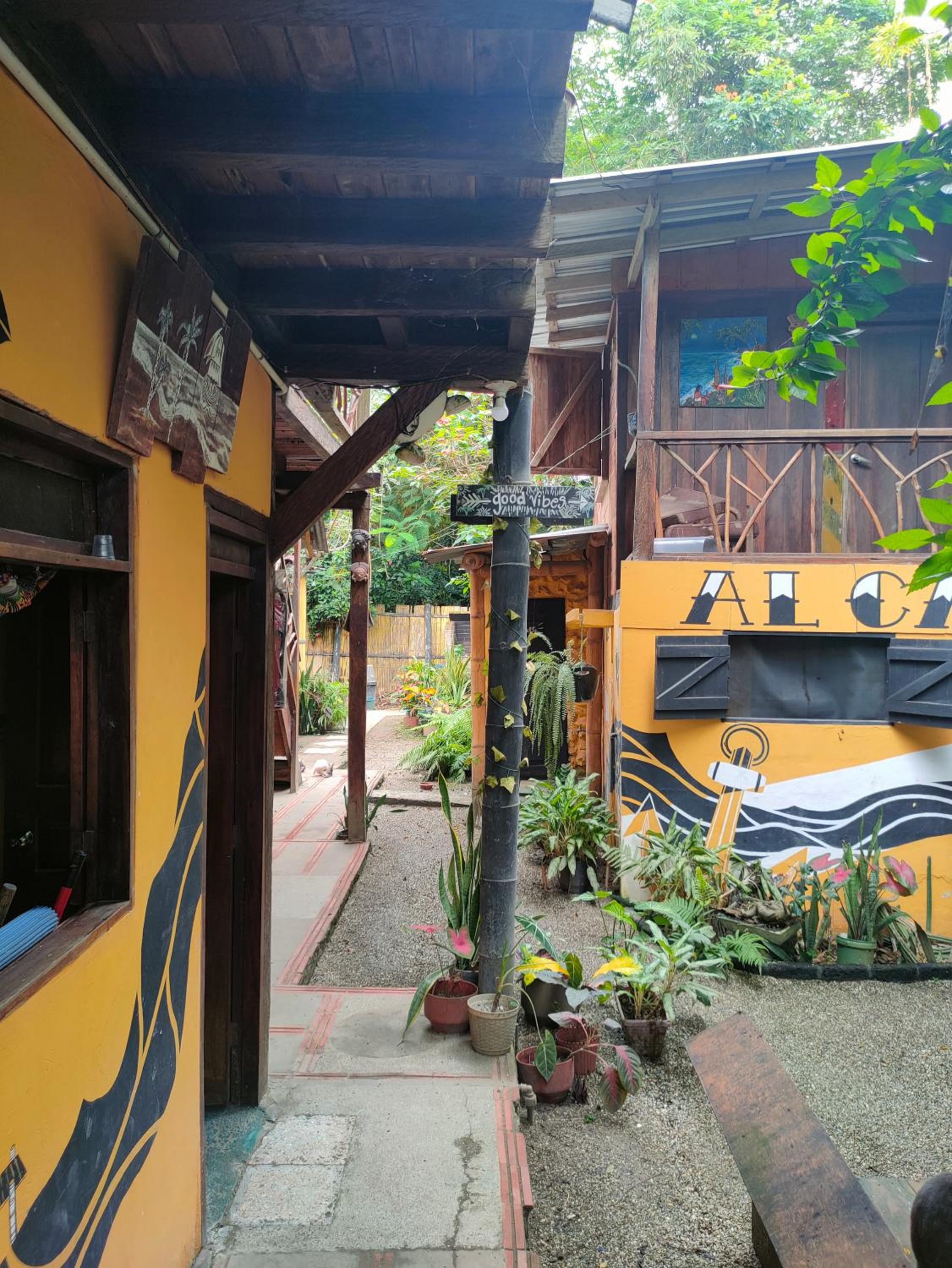Al Carajo House Backpackers Host