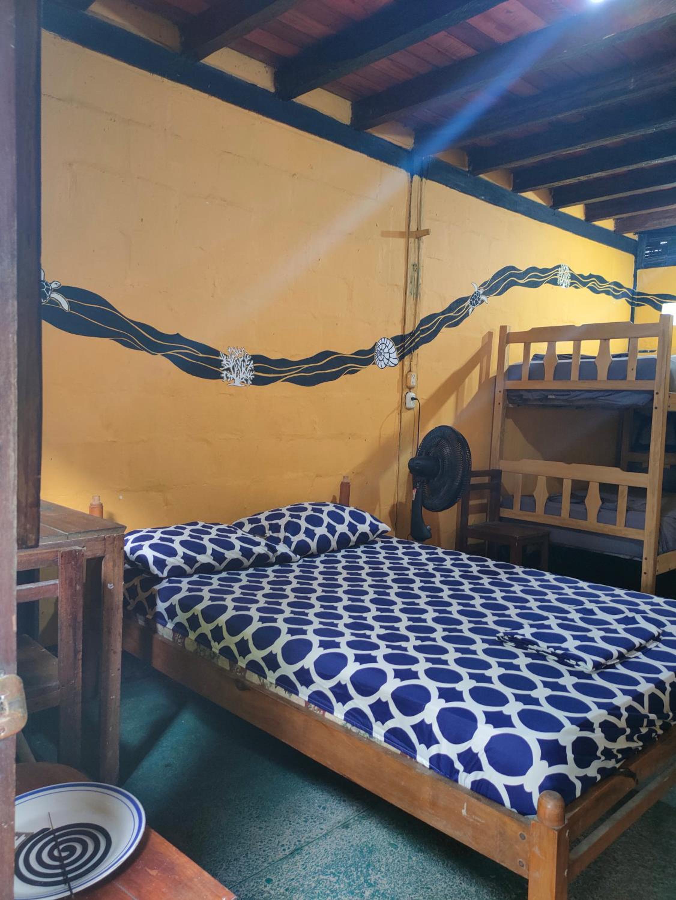 Al Carajo House Backpackers Host