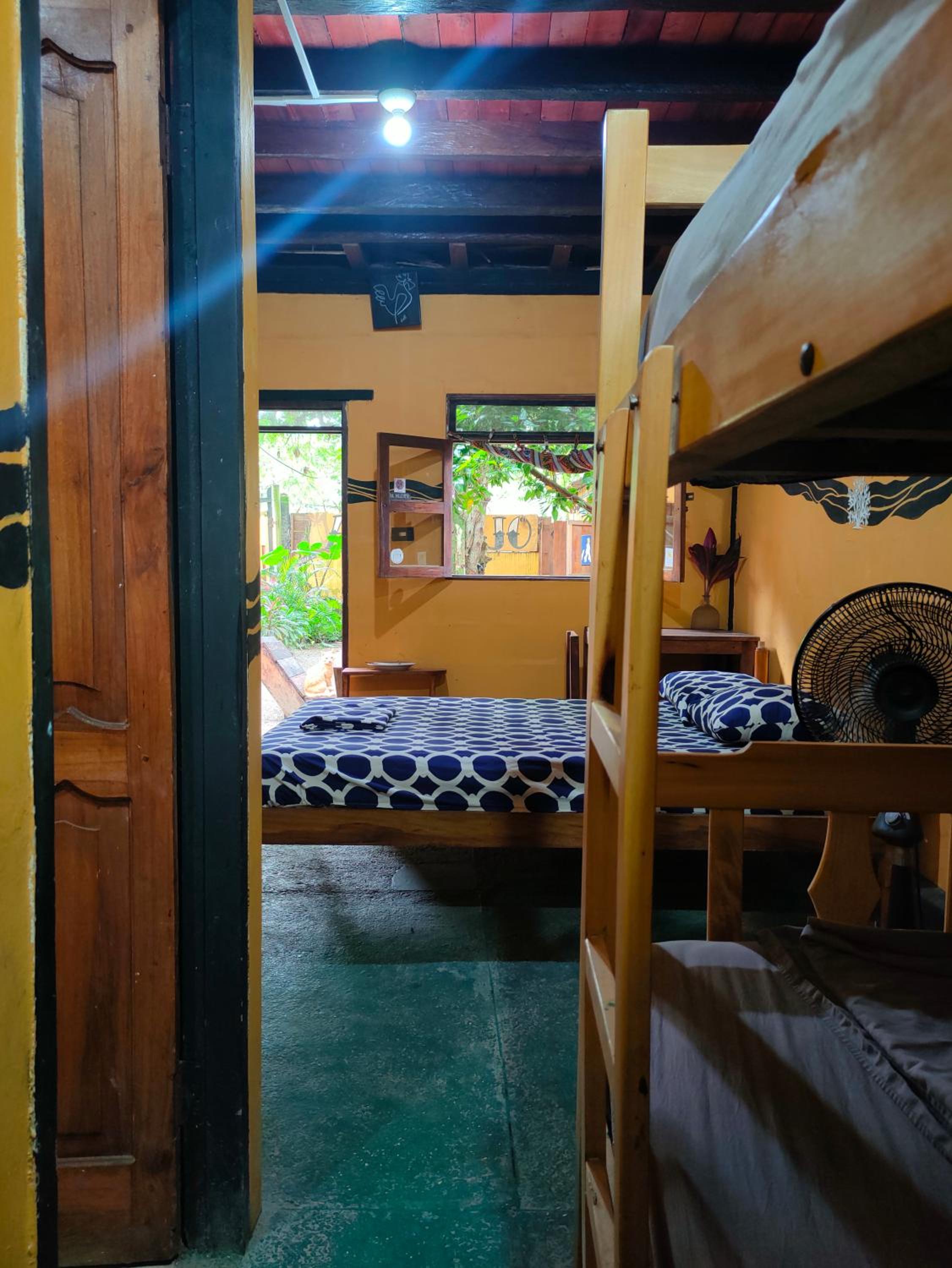 Al Carajo House Backpackers Host