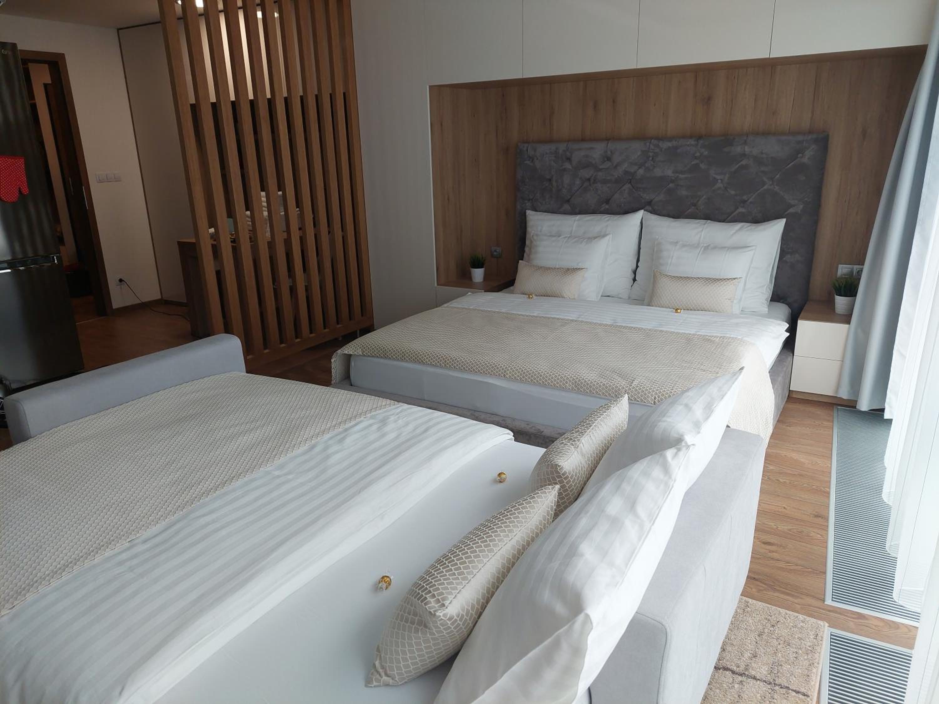 Luxury & air-conditioned Osko Apartment near the city center