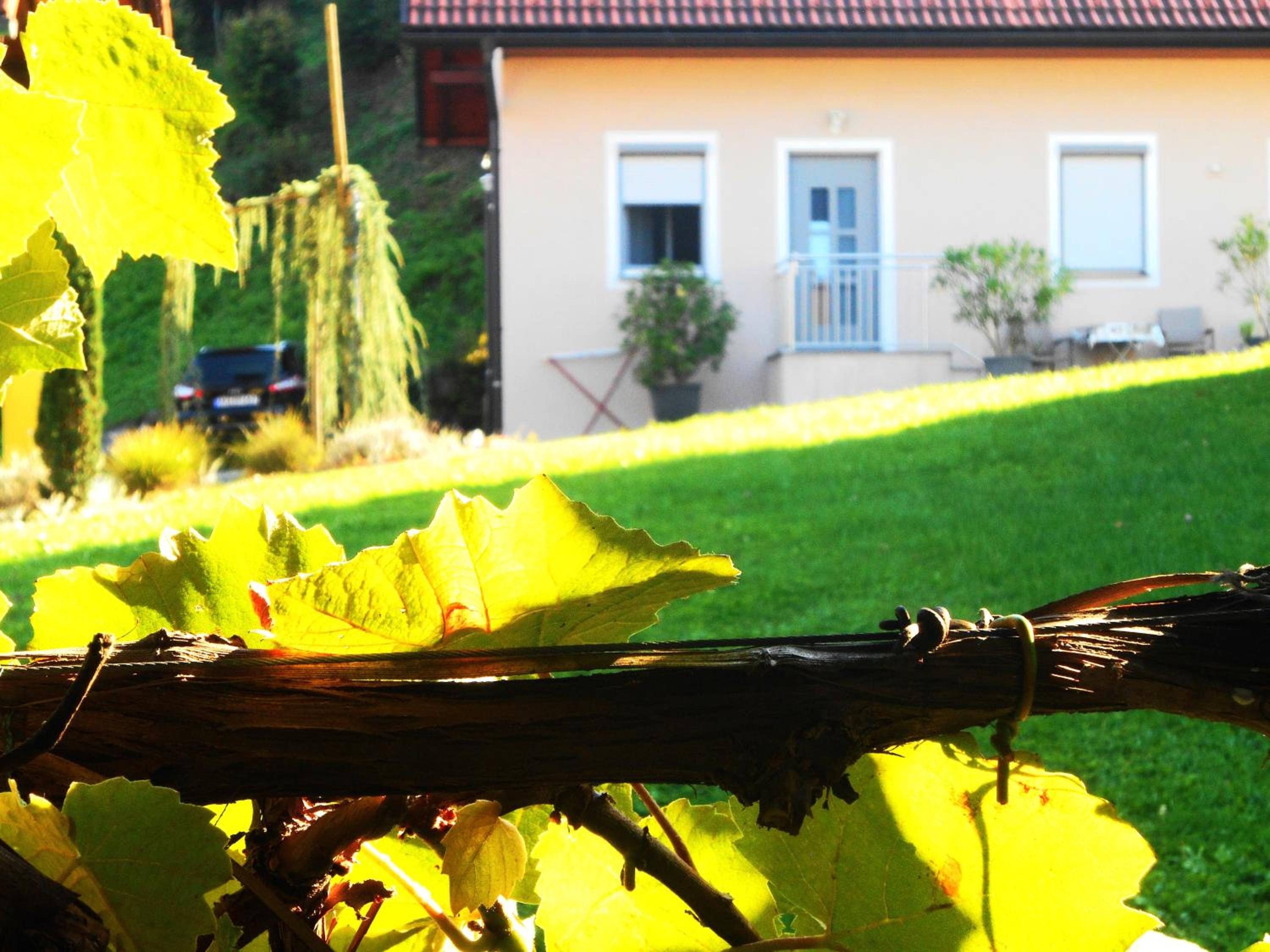 "Ferienwohnungen Karin am Seggauberg" - Panoramalage nahe dem Stadtzentrum Leibnitz view 3