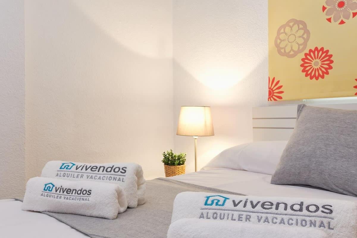 Vivendos - MA10 - Maestro Alonso