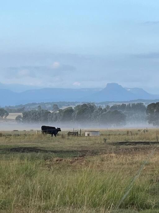 Myalla Farm, leave the world behind
