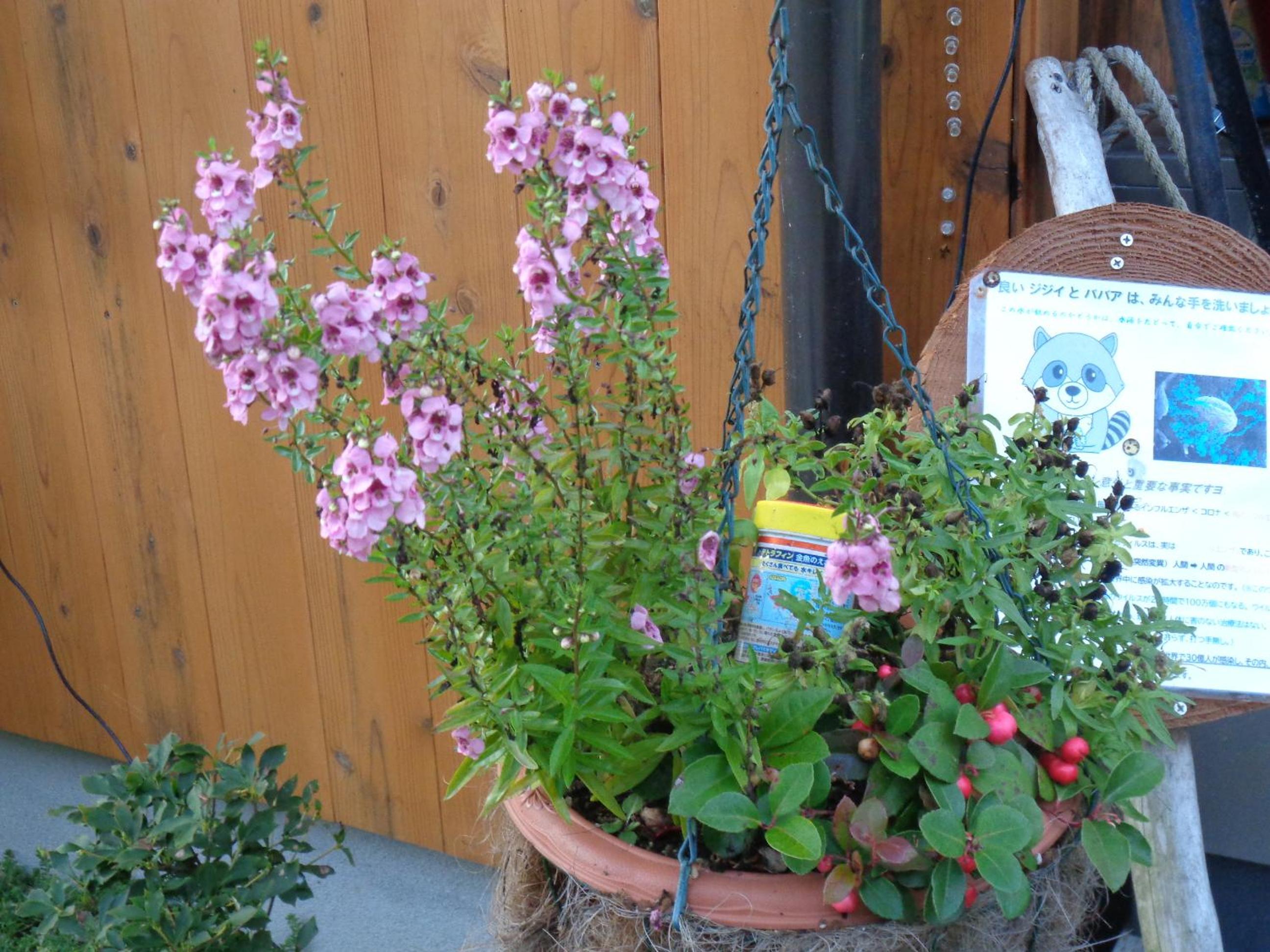 Photo 14