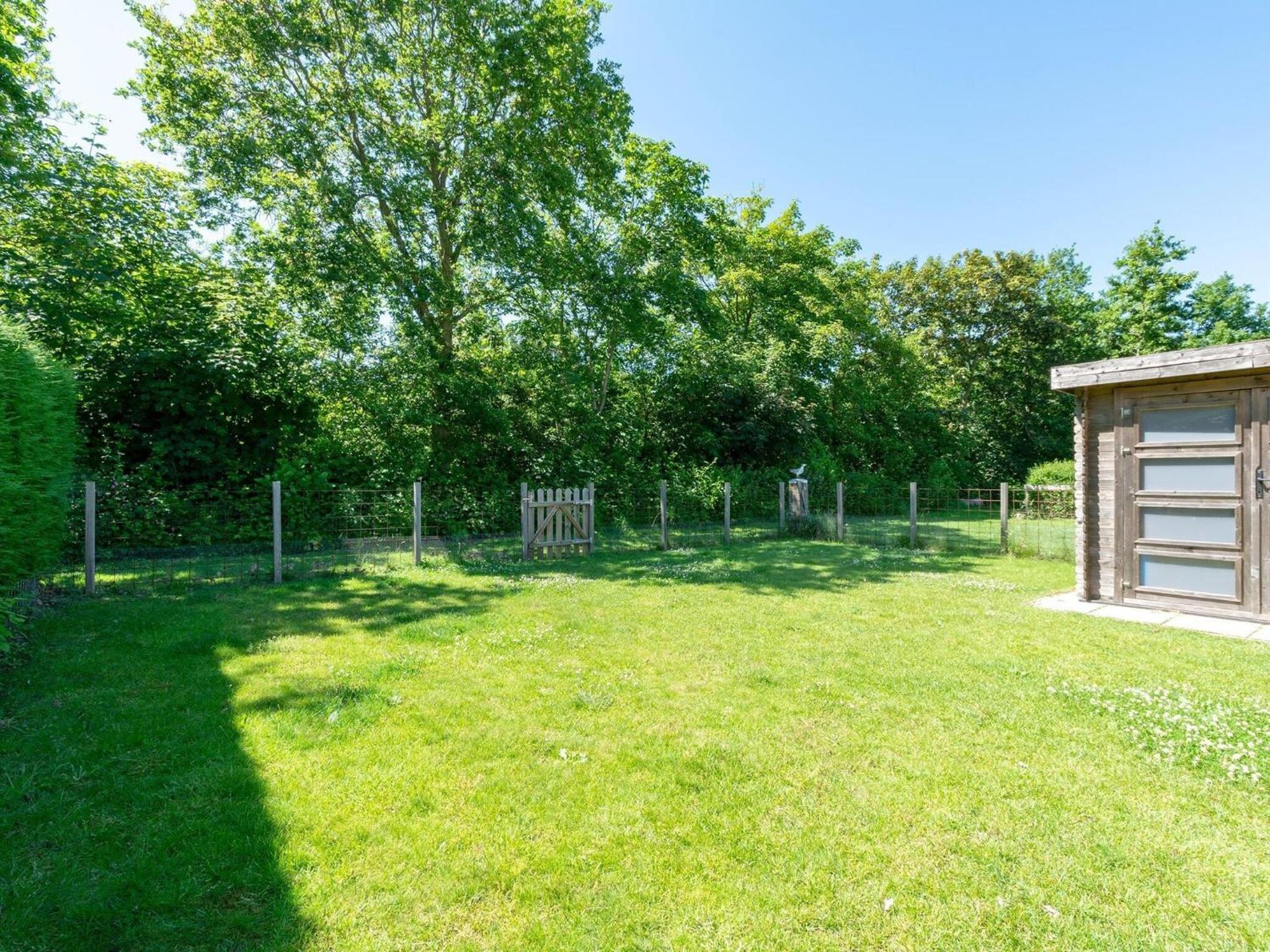 Duinland 247modern bungalow for 6 guests view 4