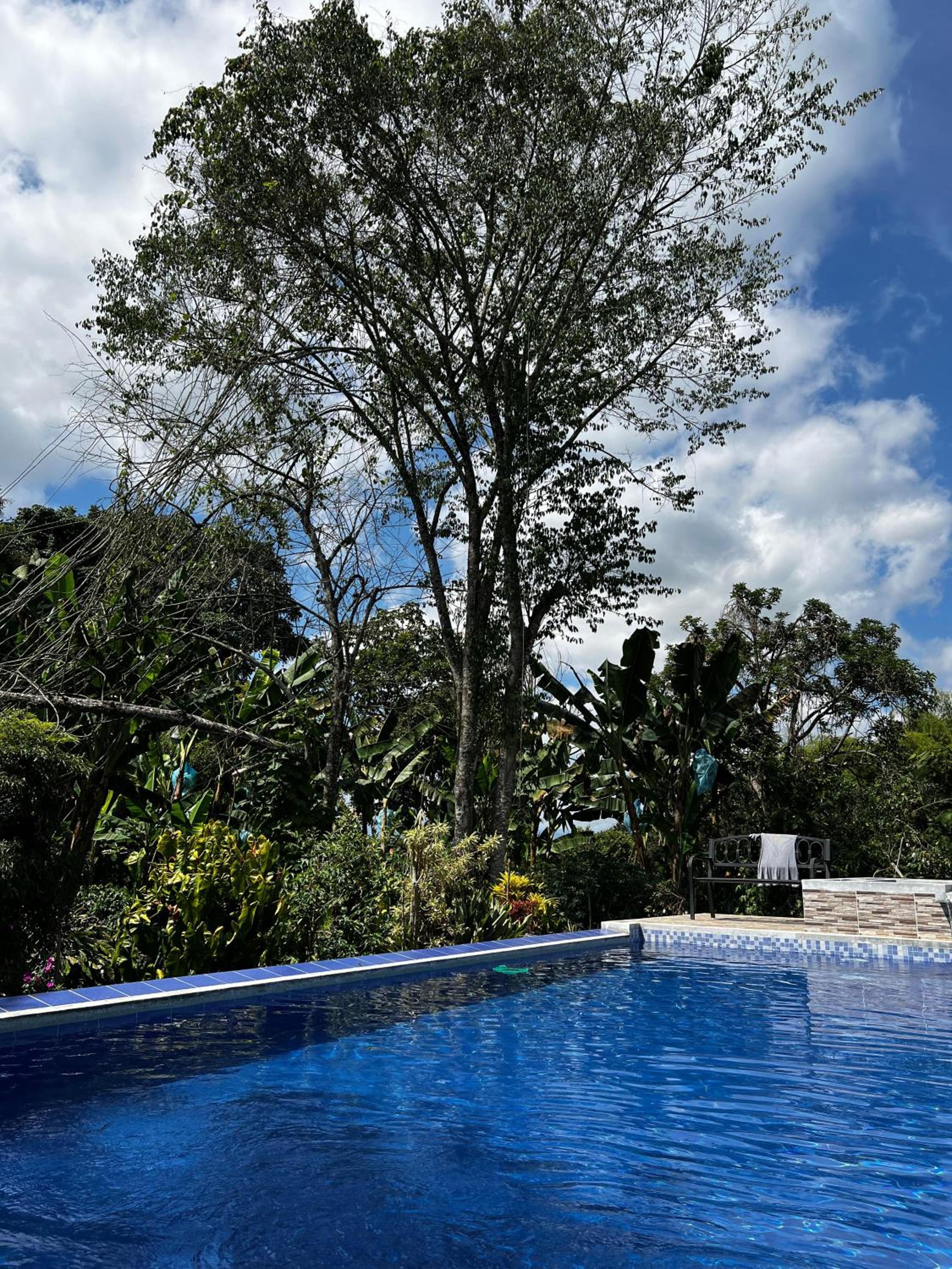 Charming Nature House/ Finca Tradicional Cafetera