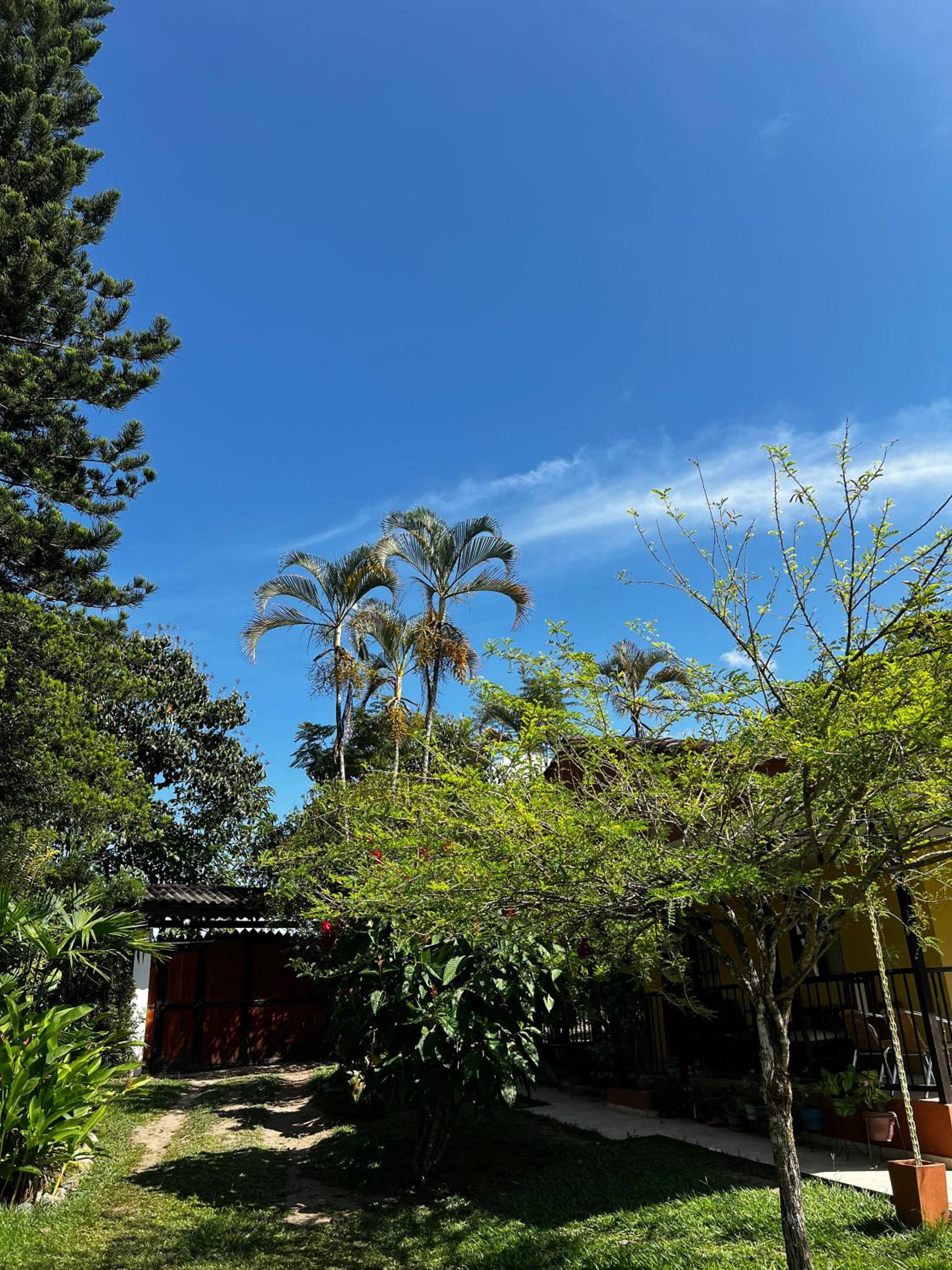 Charming Nature House/ Finca Tradicional Cafetera