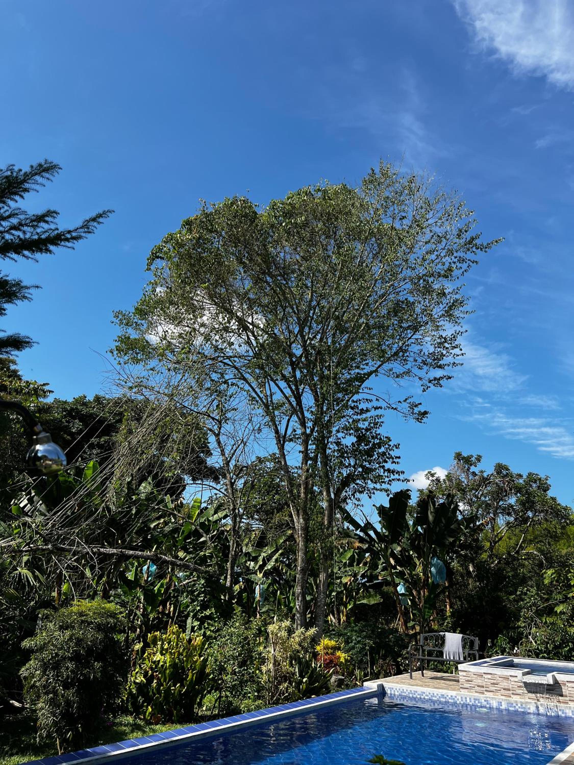 Charming Nature House/ Finca Tradicional Cafetera