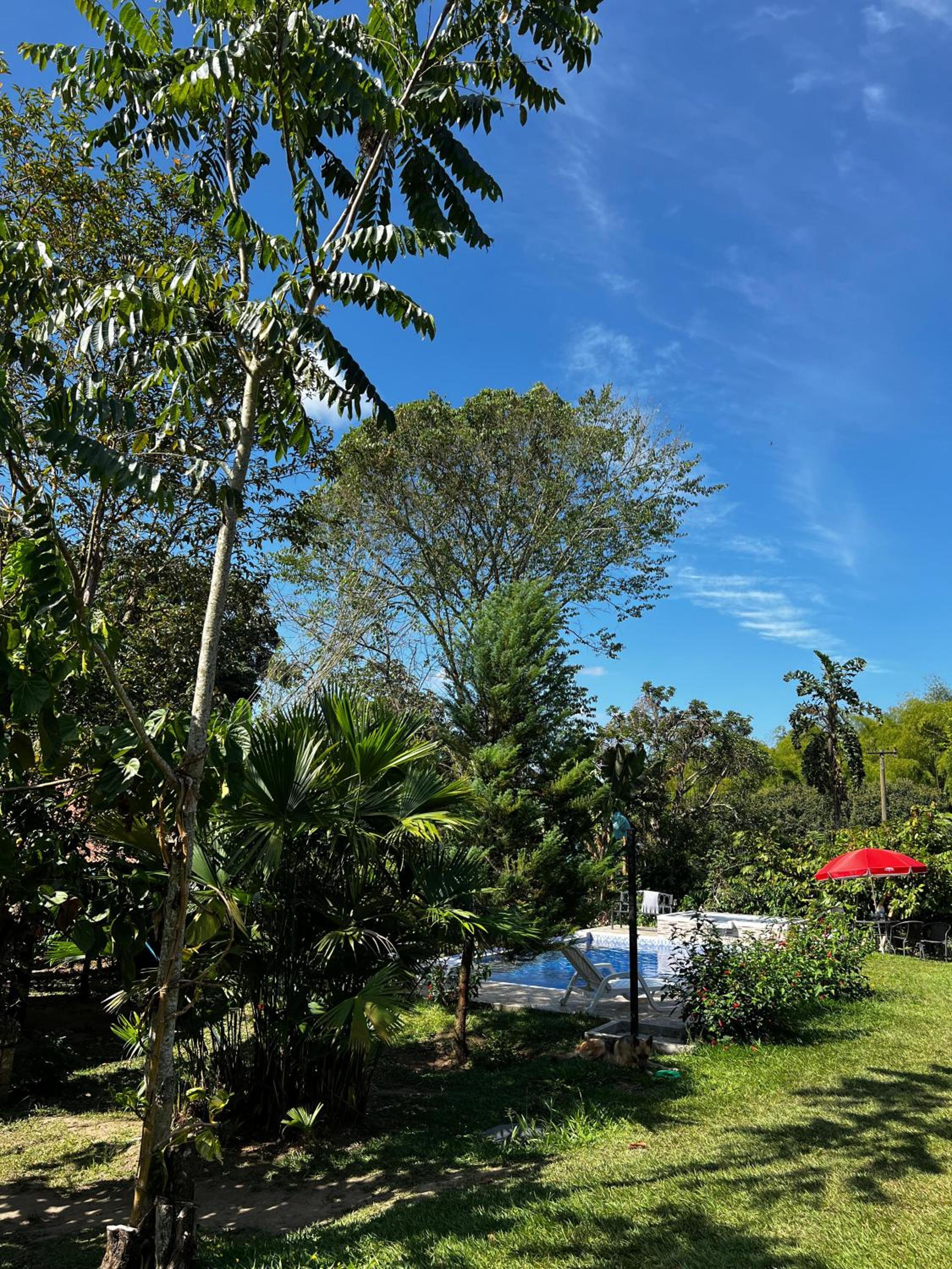 Charming Nature House/ Finca Tradicional Cafetera