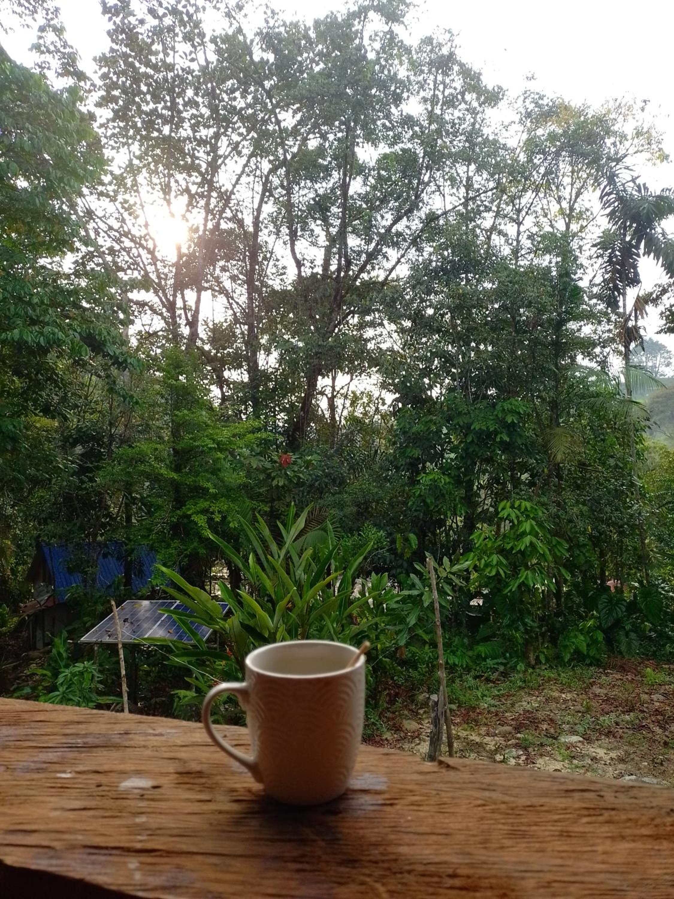 Glamping el Bosque San Luis