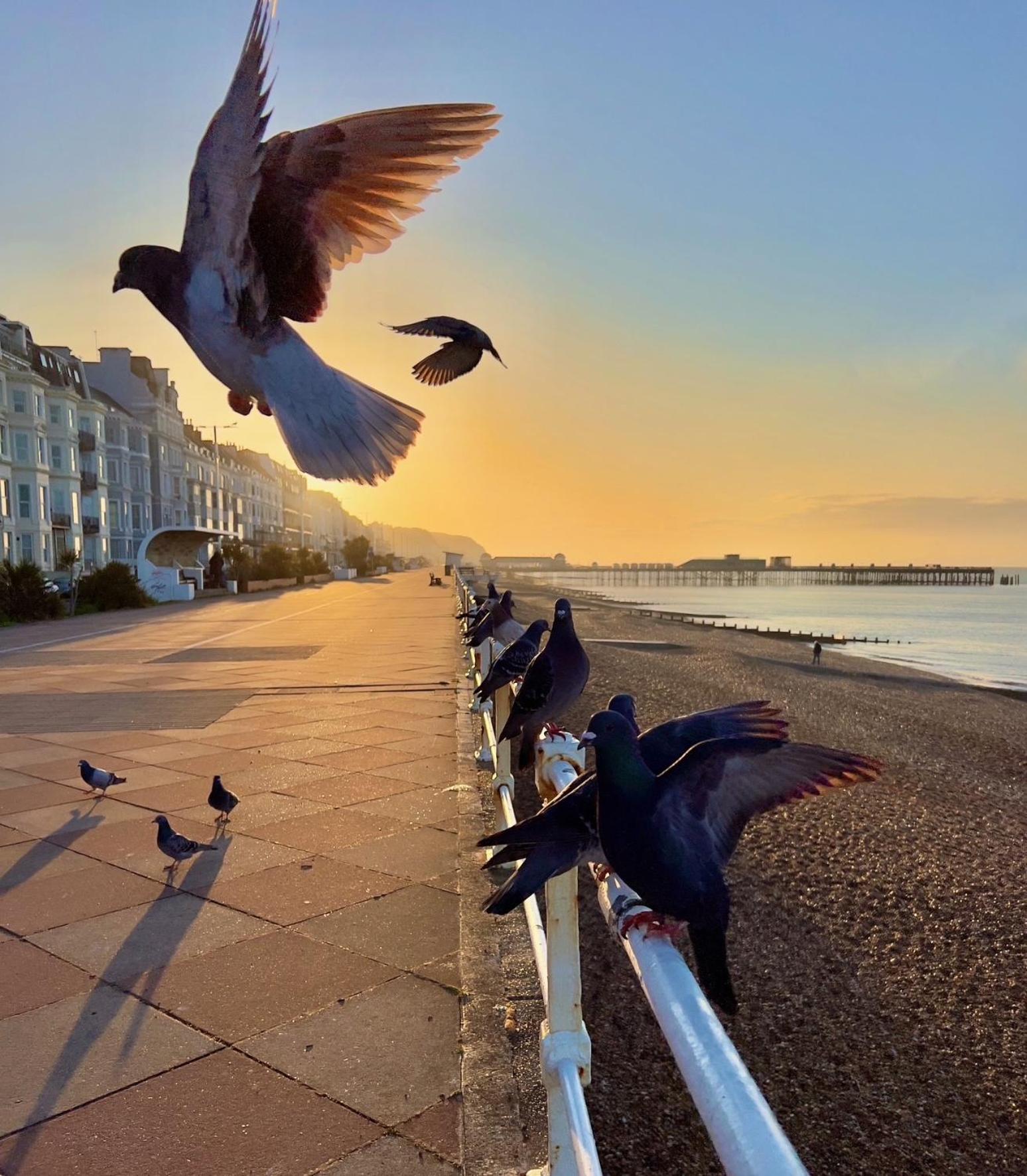 The Buttercup - 3 Double Bedrooms - 3 Minutes Walk to Beach