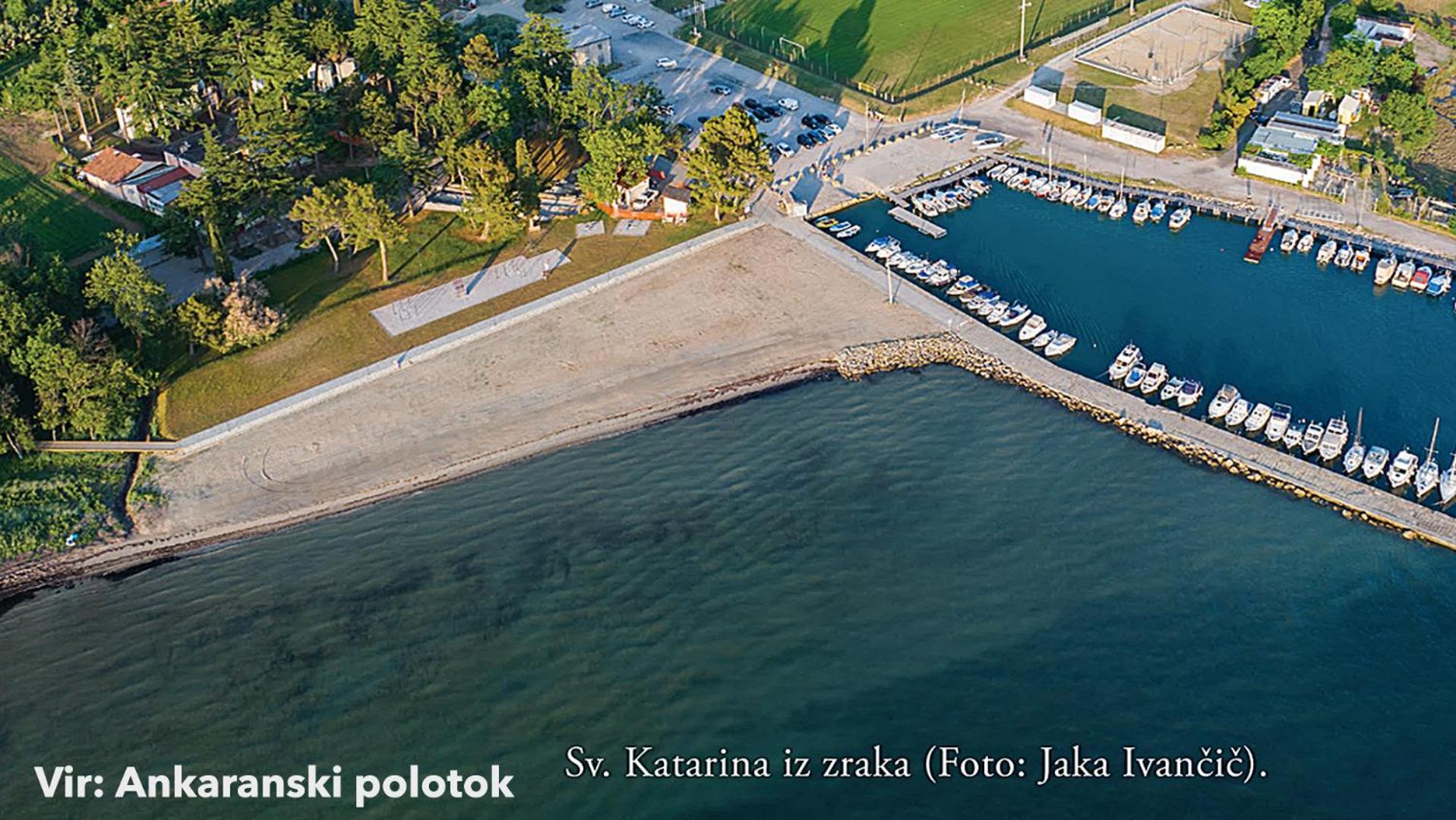 Apartma Čebelica
