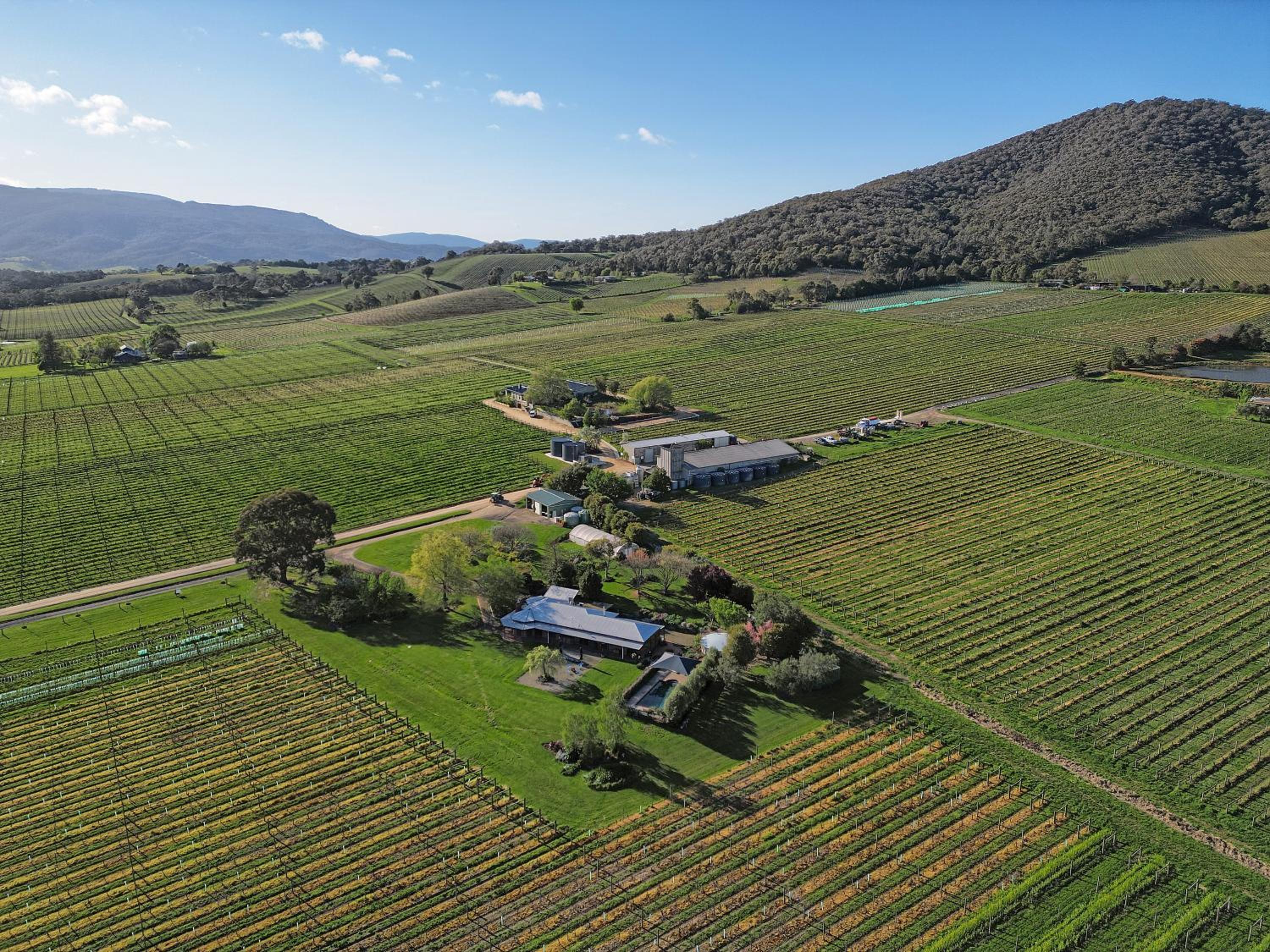 Yarra Yering Homestead