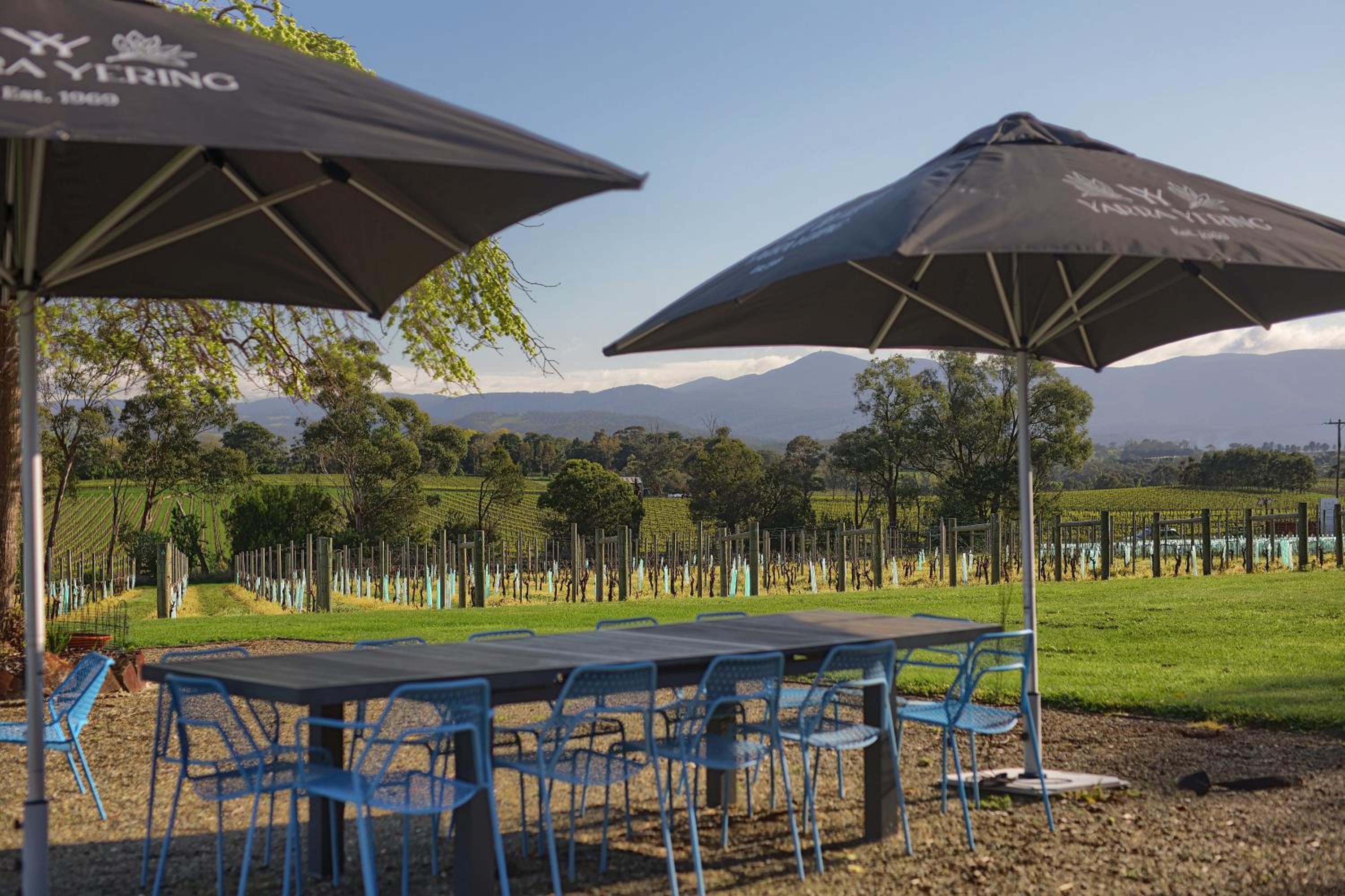 Yarra Yering Homestead