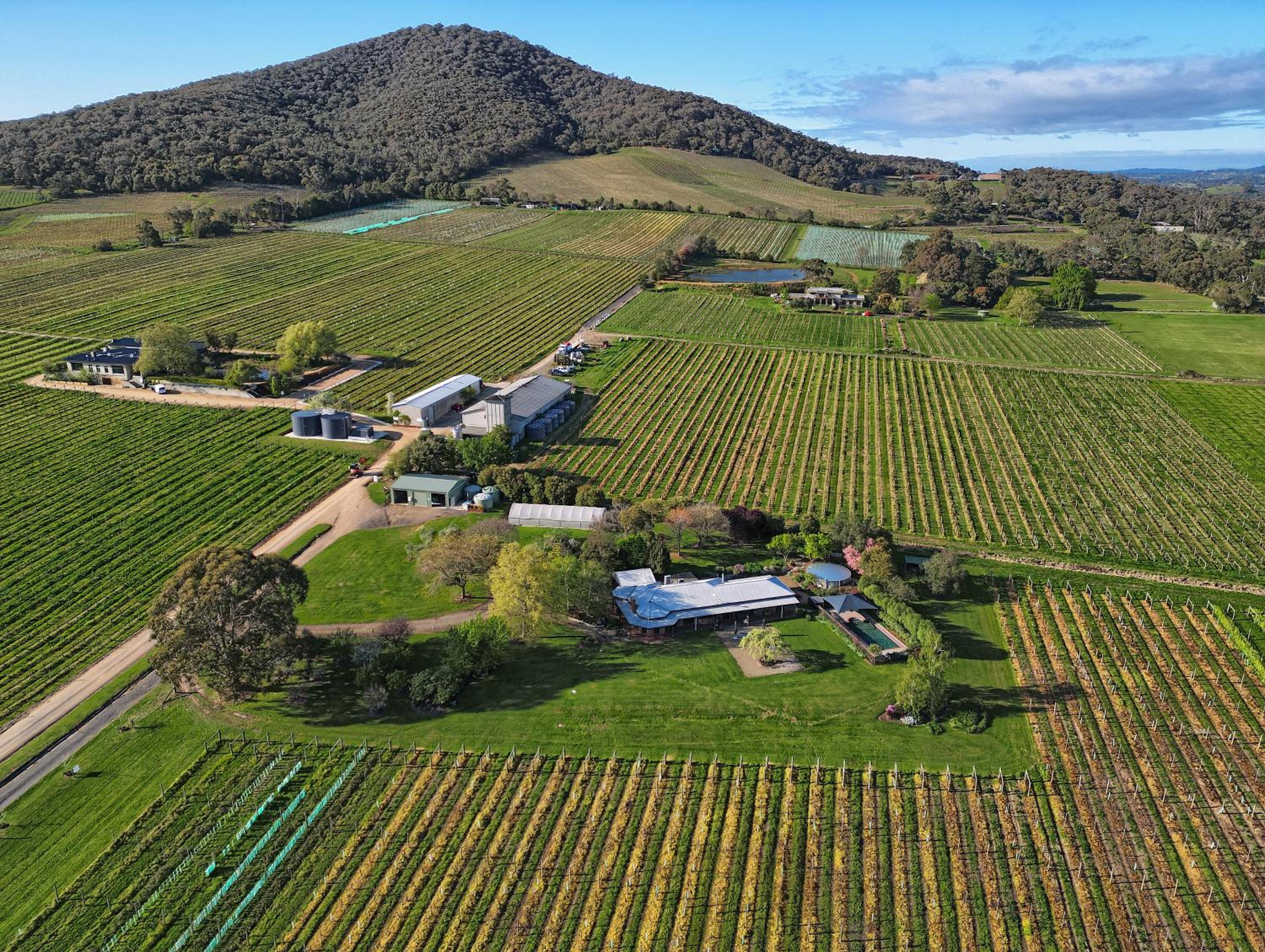 Yarra Yering Homestead